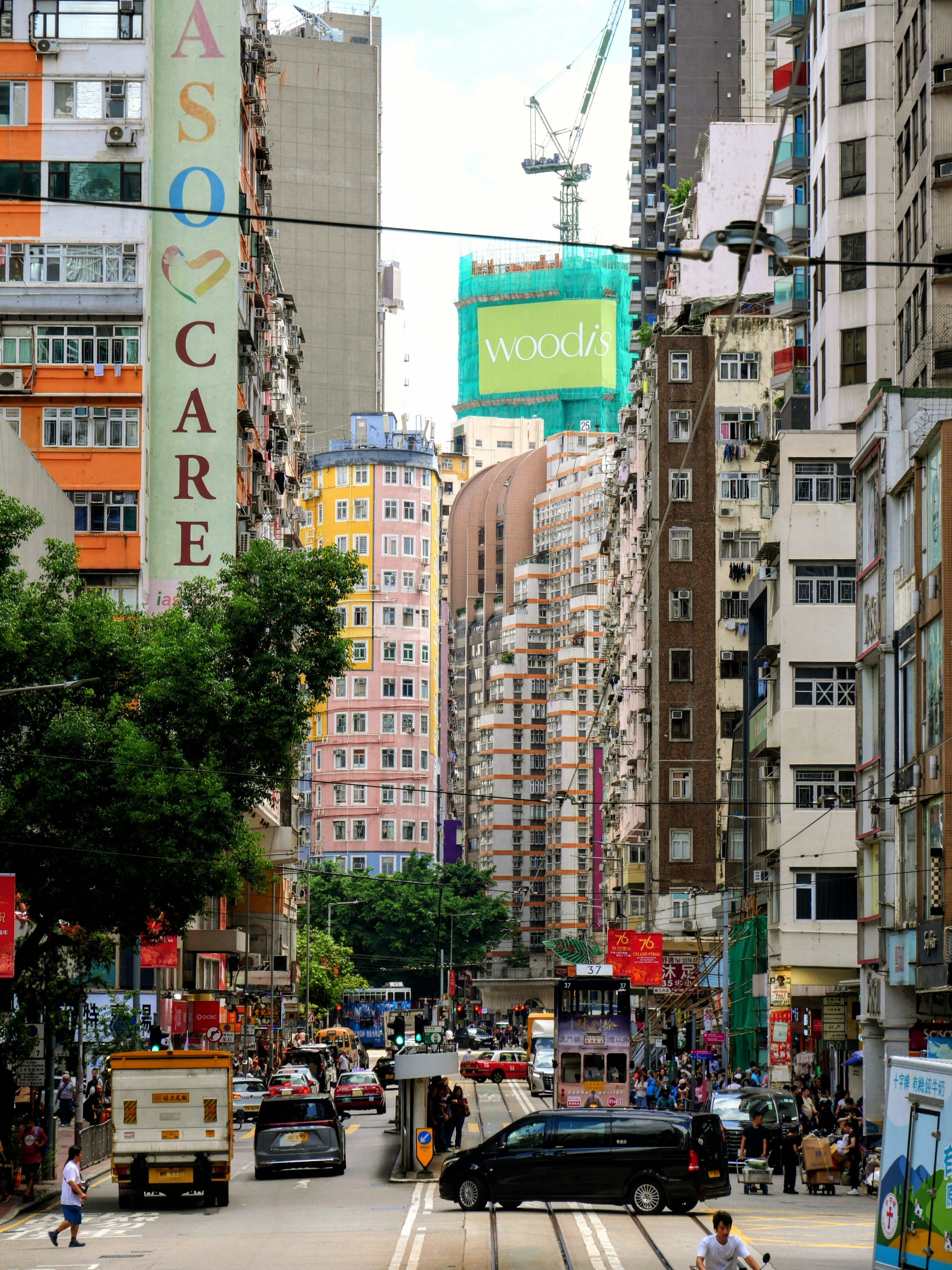 Nightlife and Entertainment After Dark