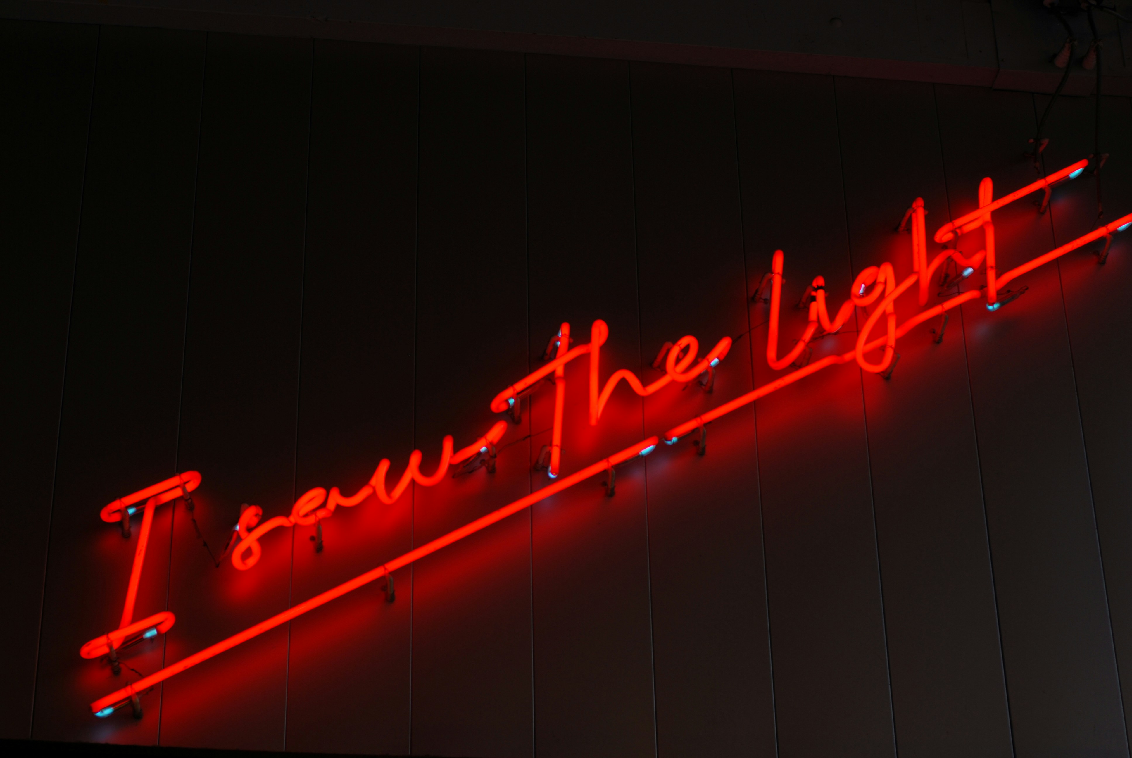 Photo by tokyorattus