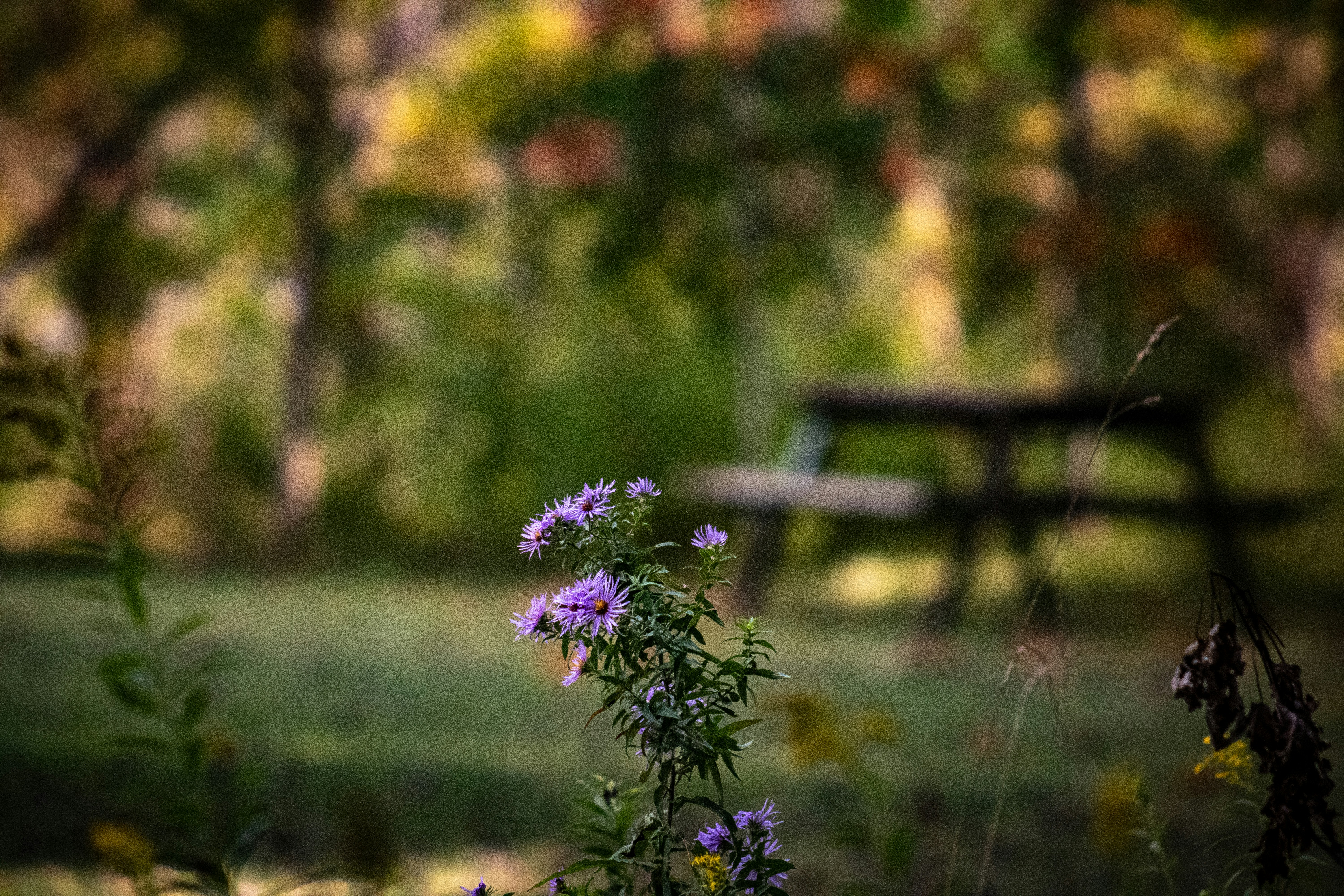 Photo by tavia_0508_sb