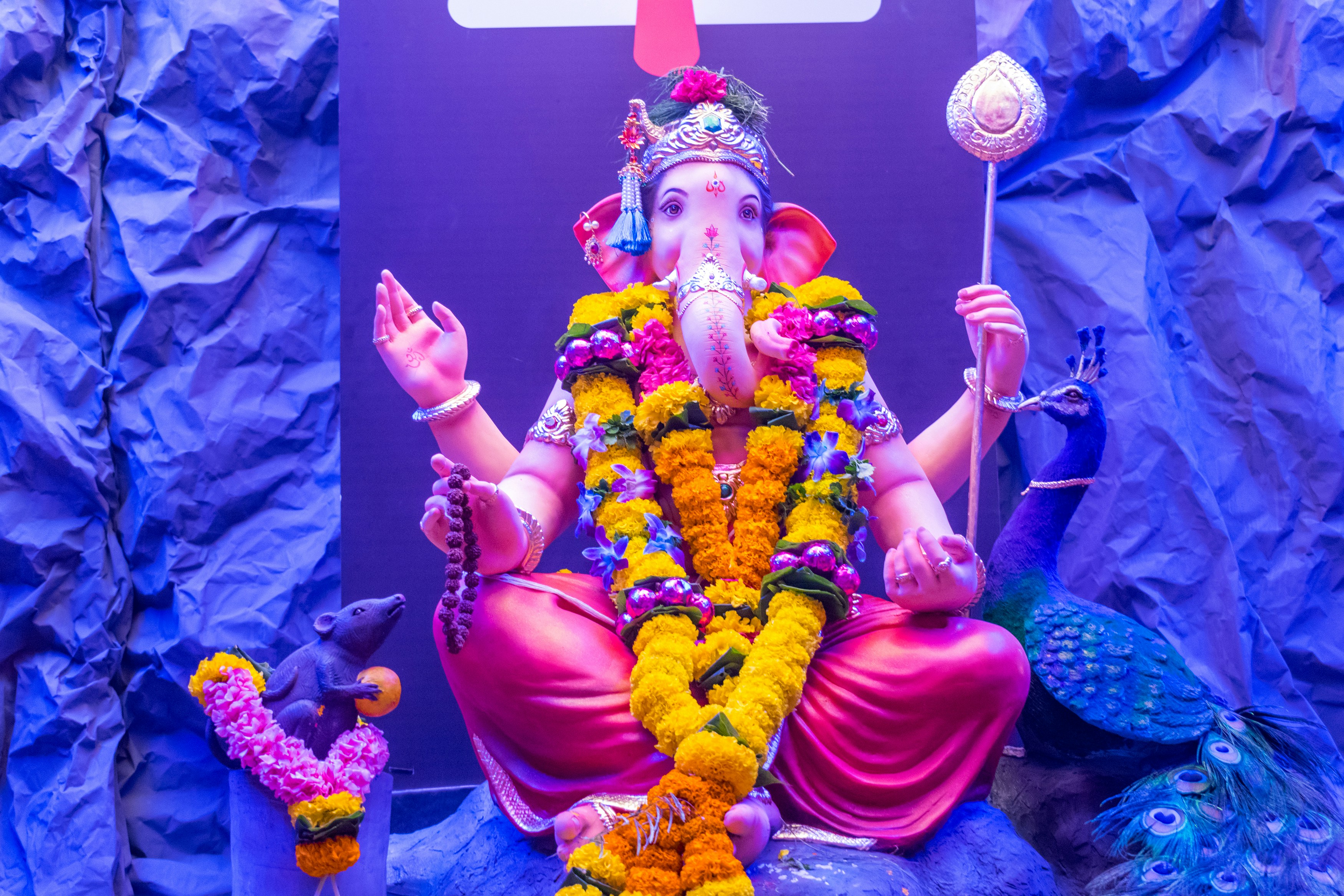 Photo by sonika_agarwal