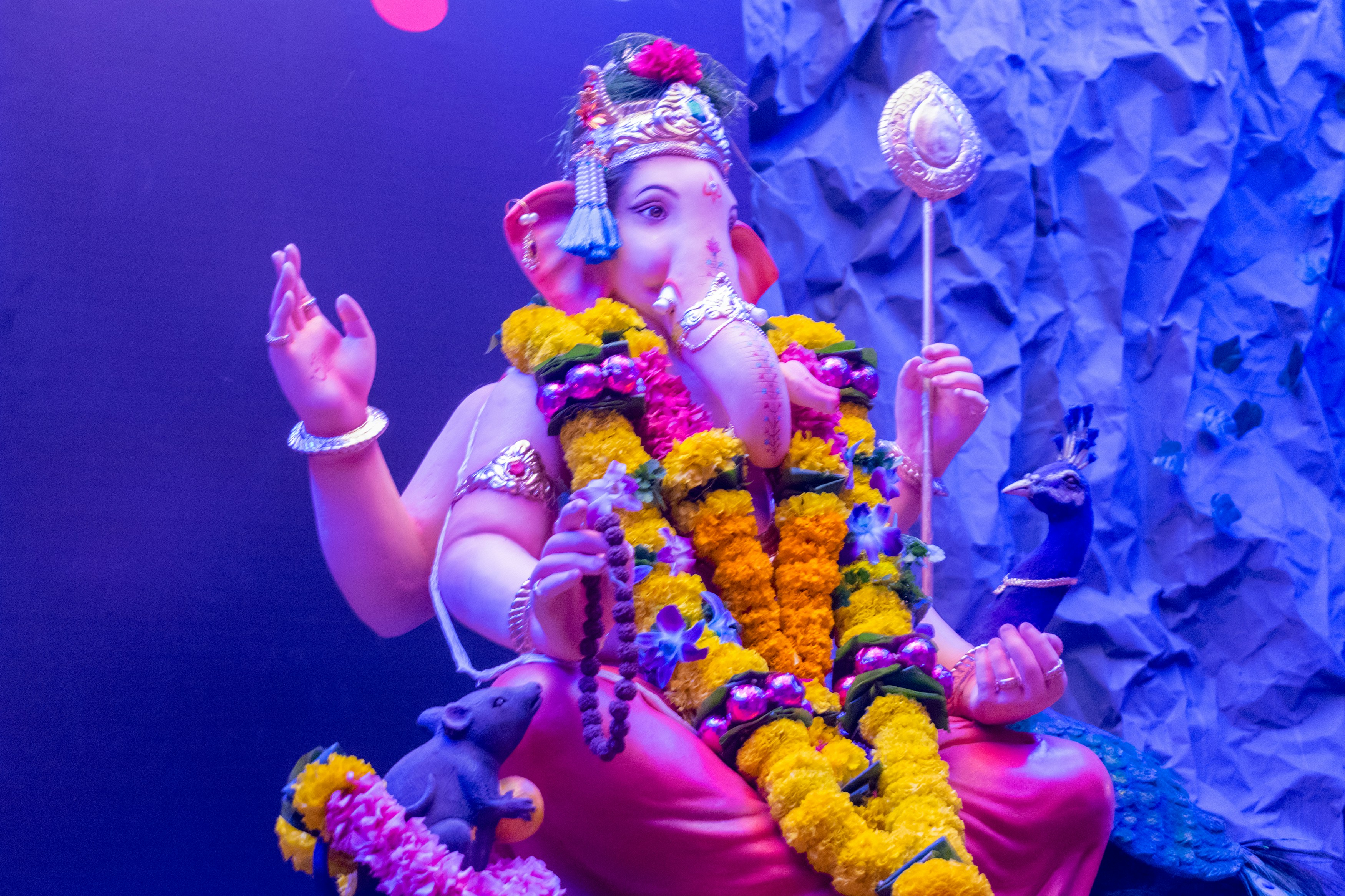 Photo by sonika_agarwal