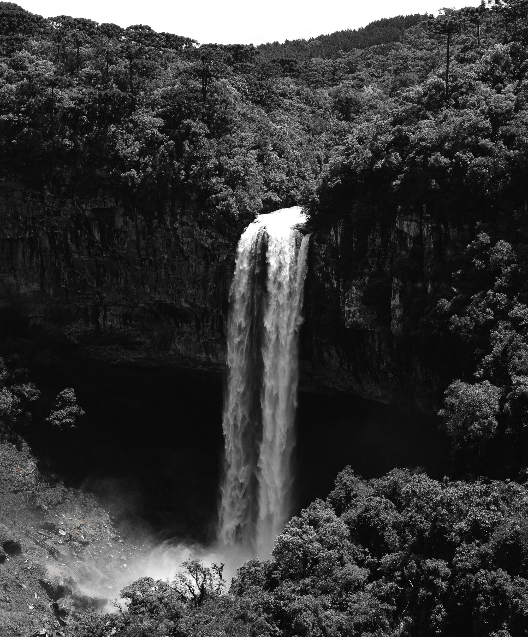 Photo by fernandaneitzel