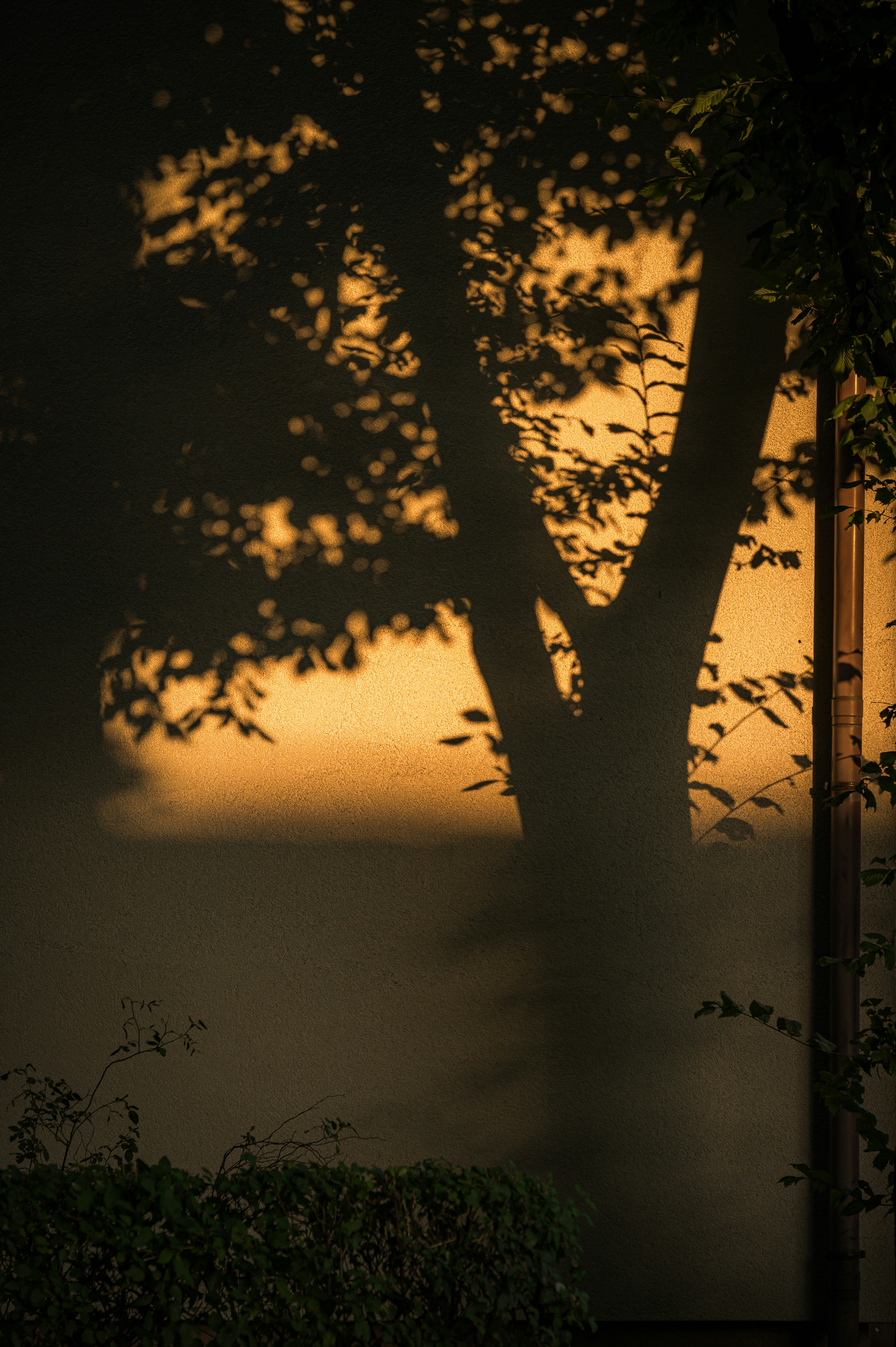 Photo by alexandra_p_d