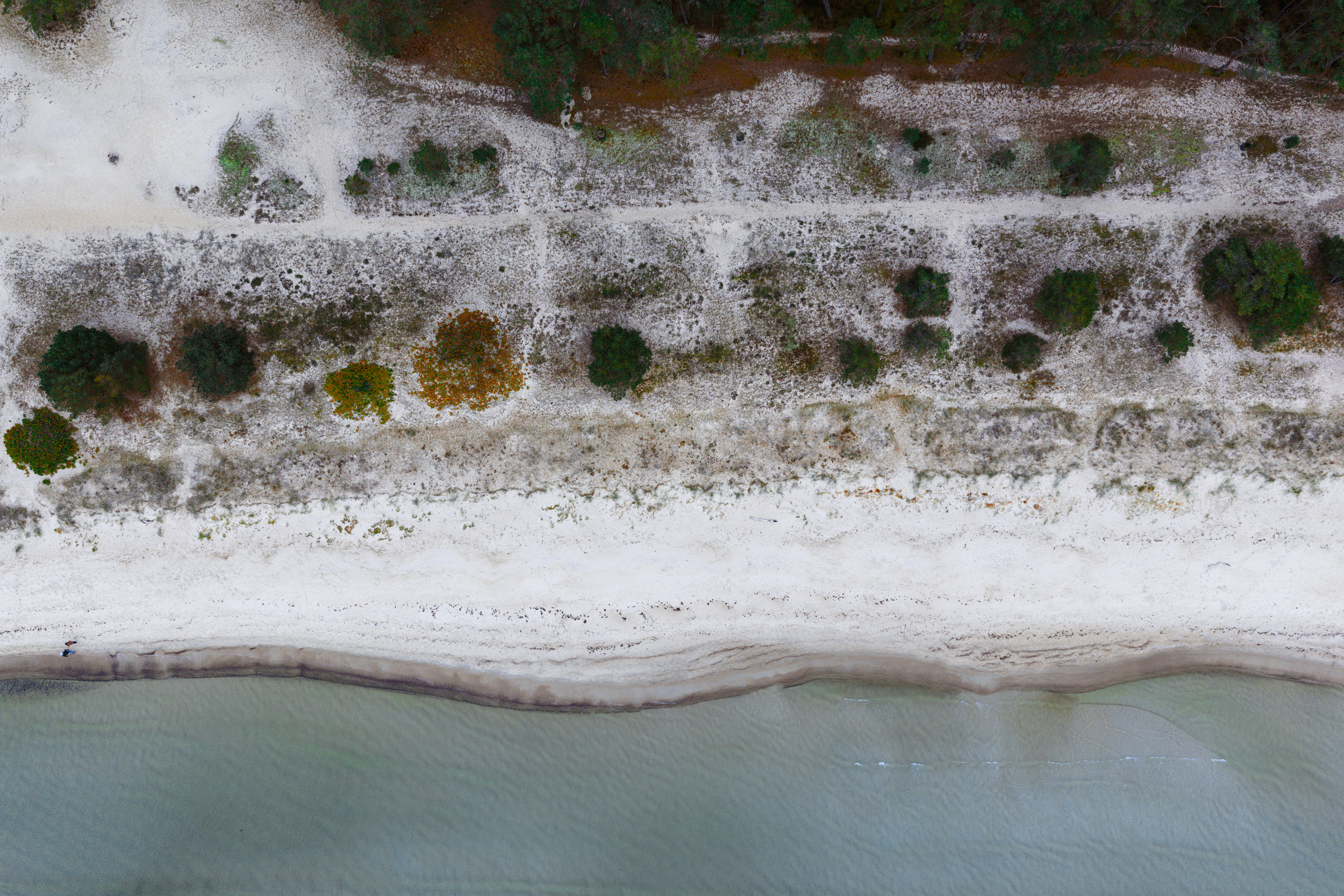 How Household Lawyers Aid Negotiate Fair Alimony Settlements