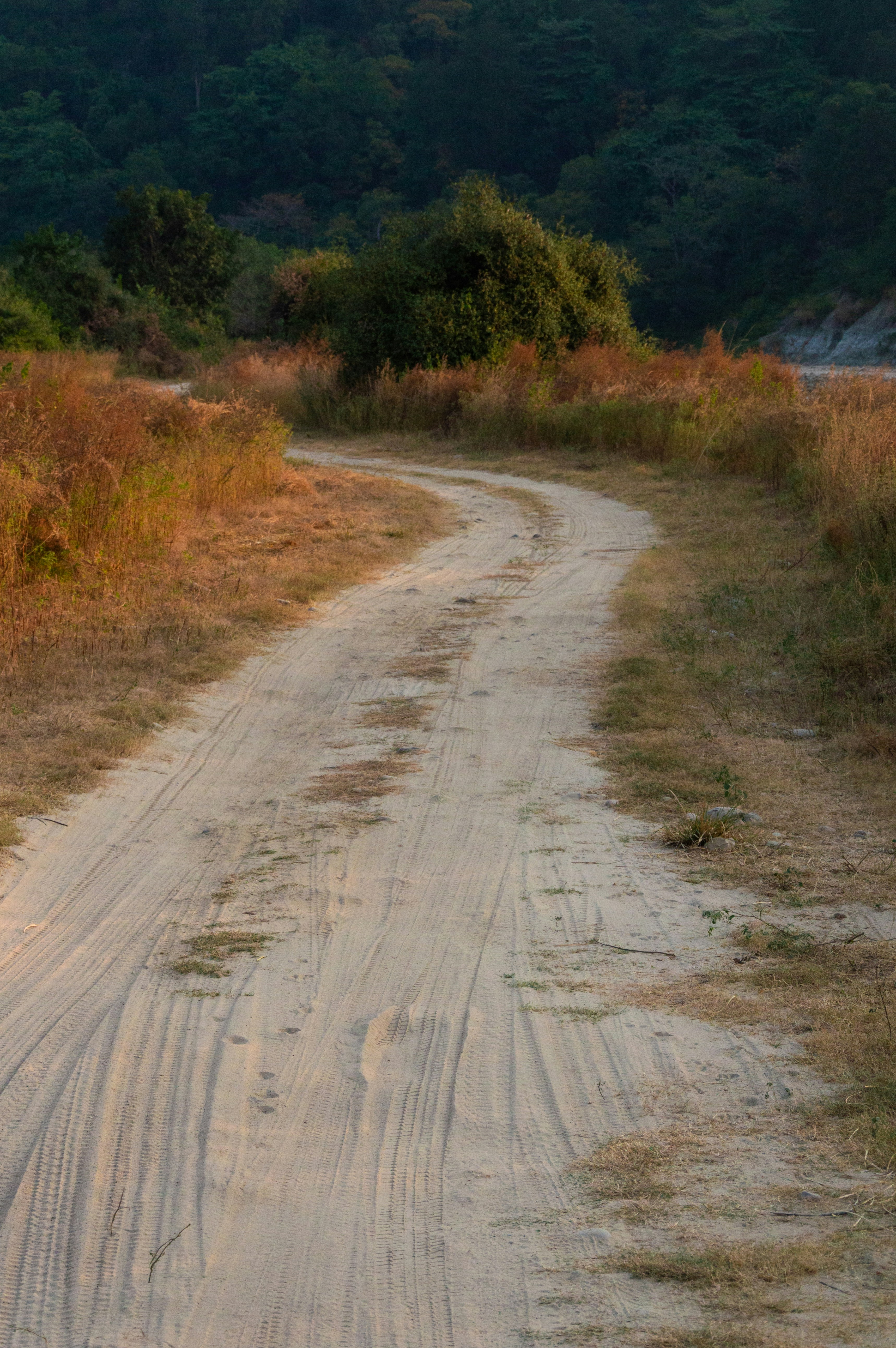 A winding dirt road through dry grass and trees.