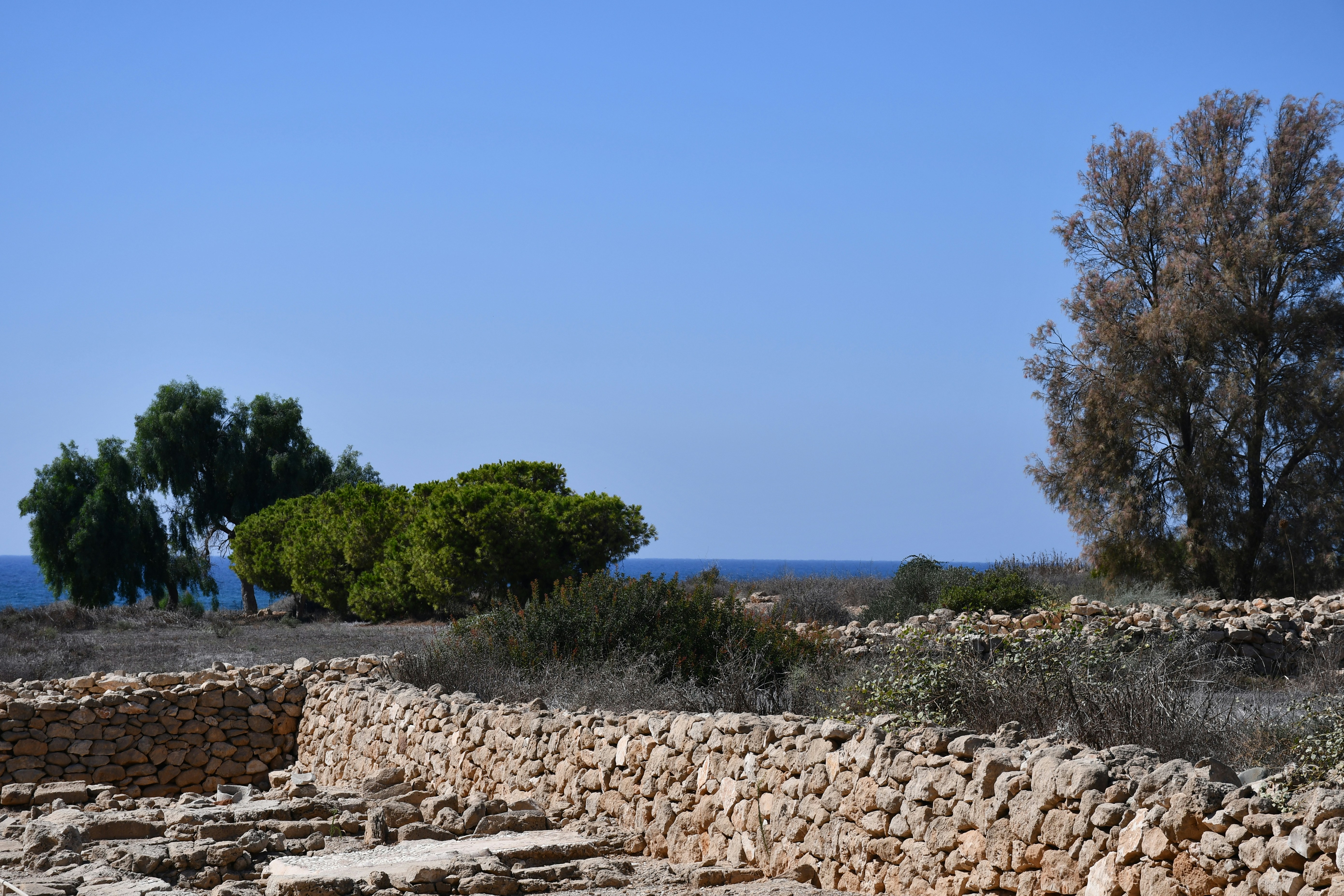 Photo by anna_kharkivska