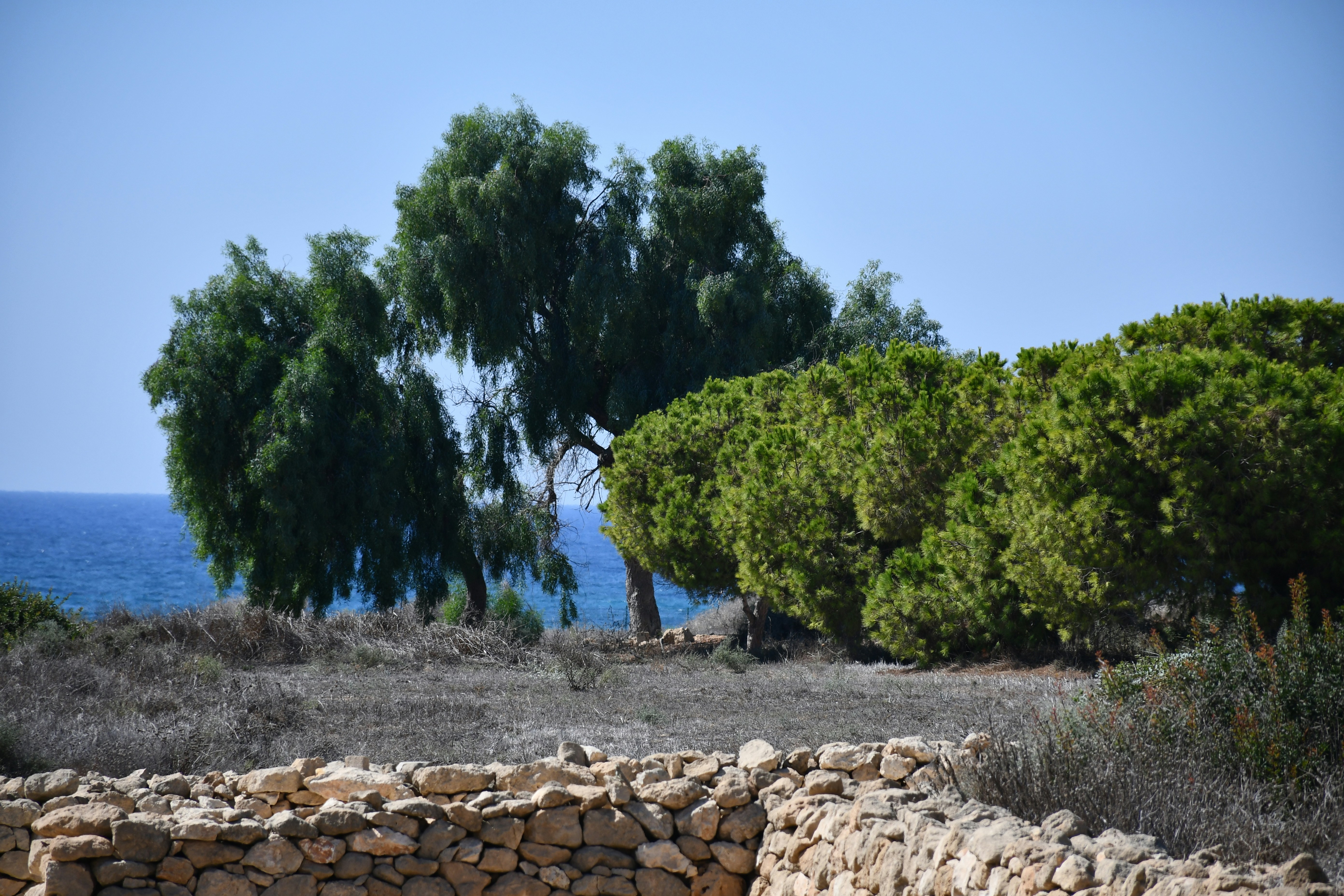 Photo by anna_kharkivska