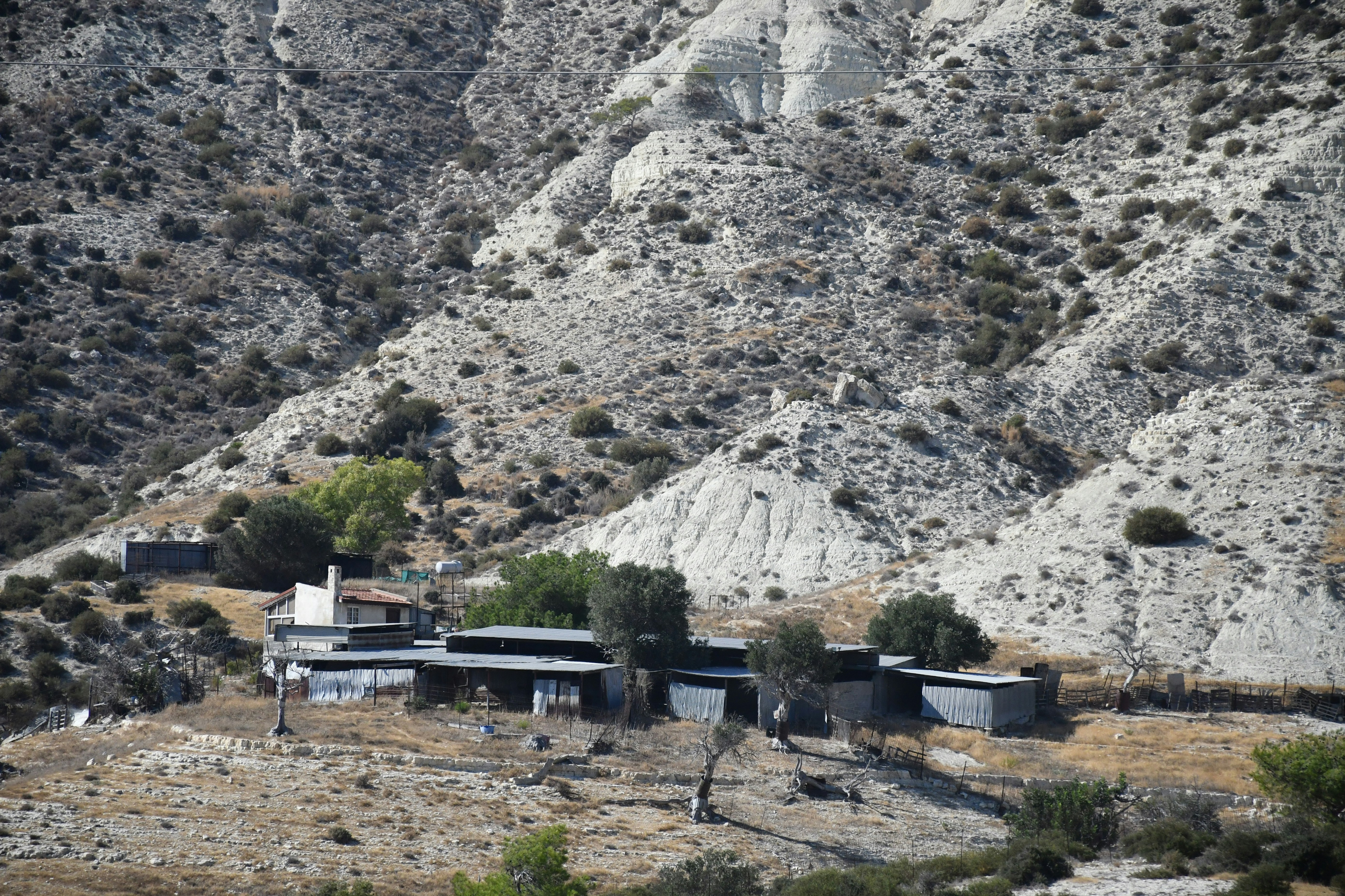 Photo by anna_kharkivska