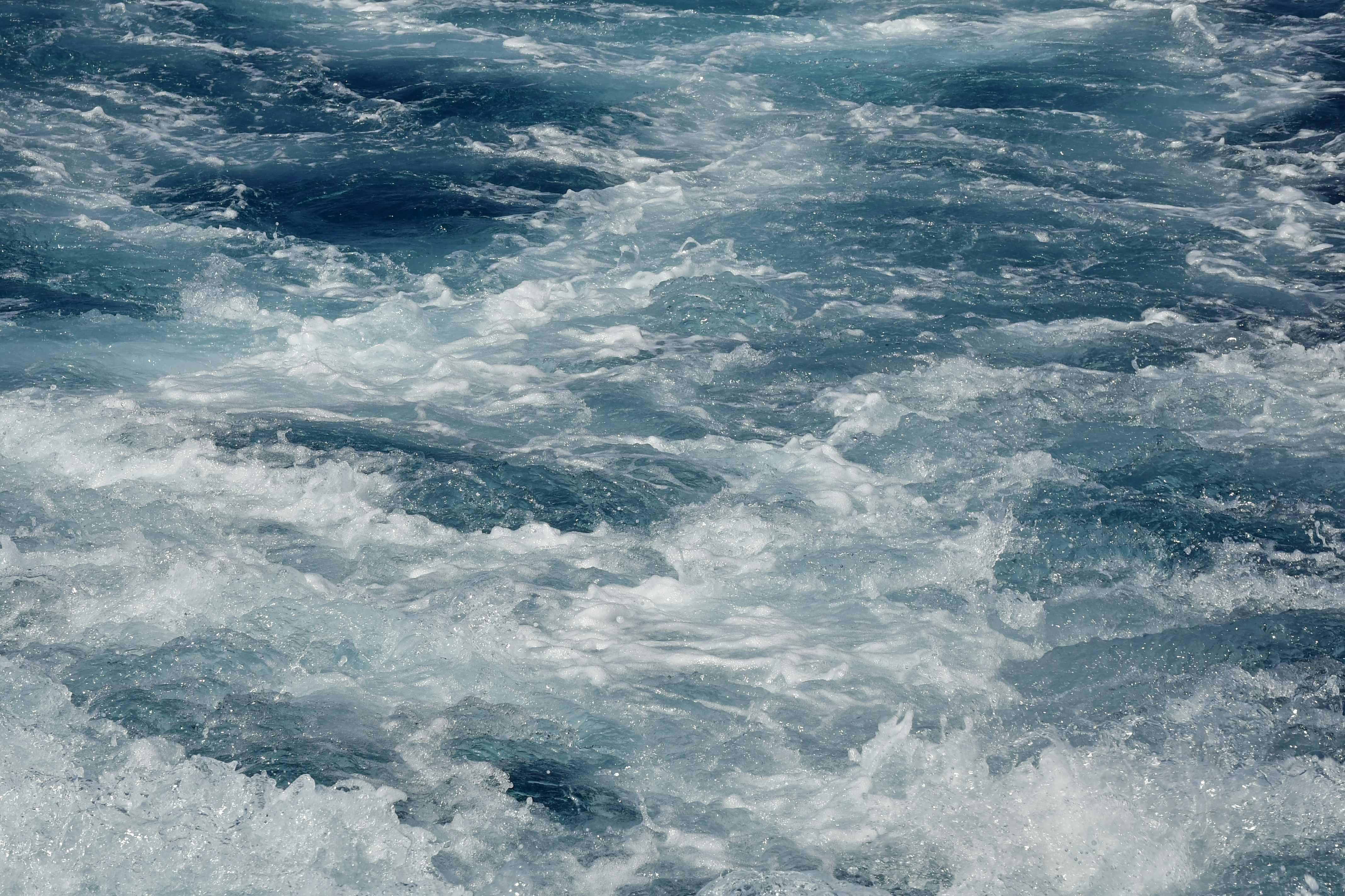 Photo by anna_kharkivska