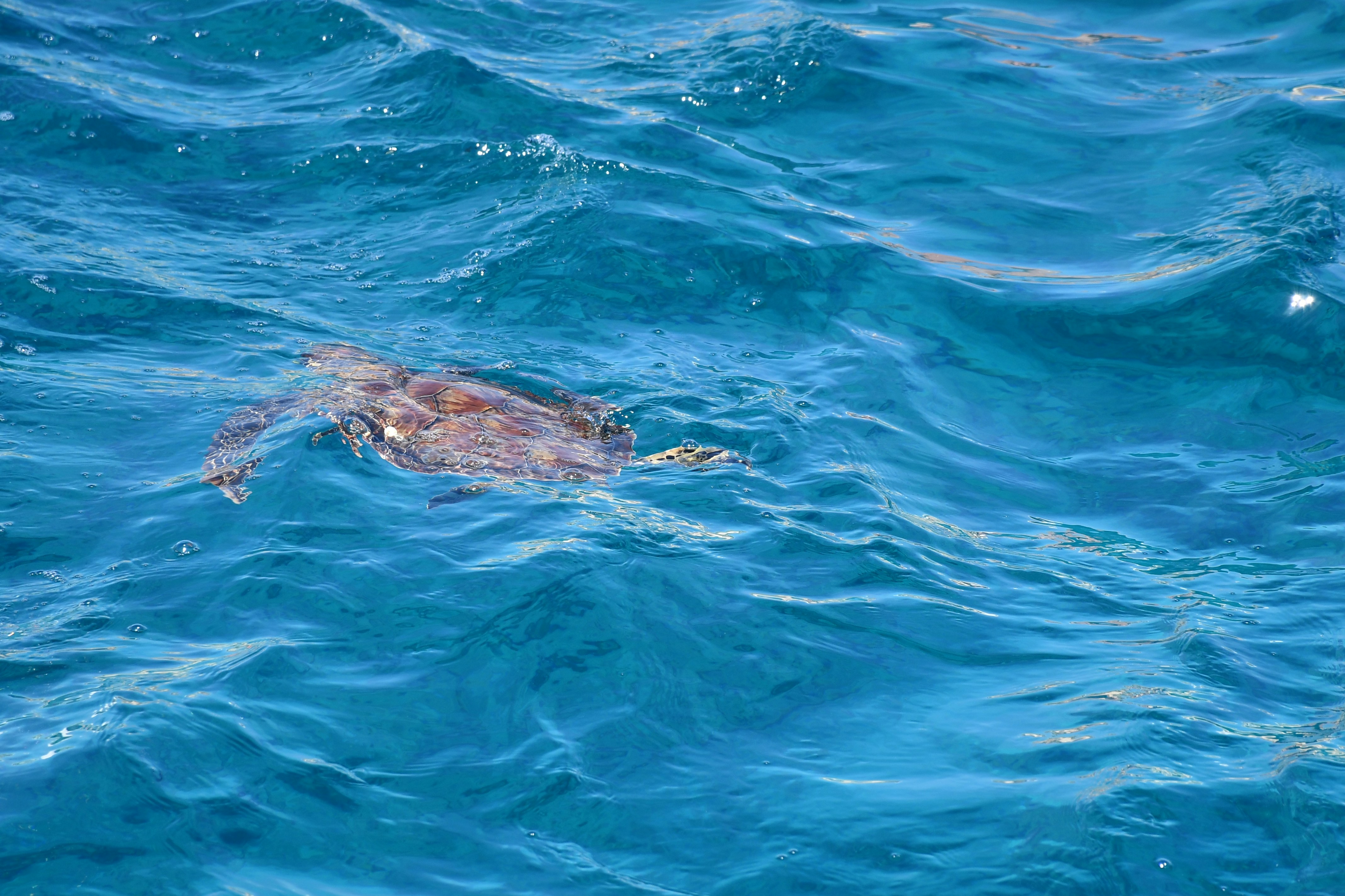 Photo by anna_kharkivska