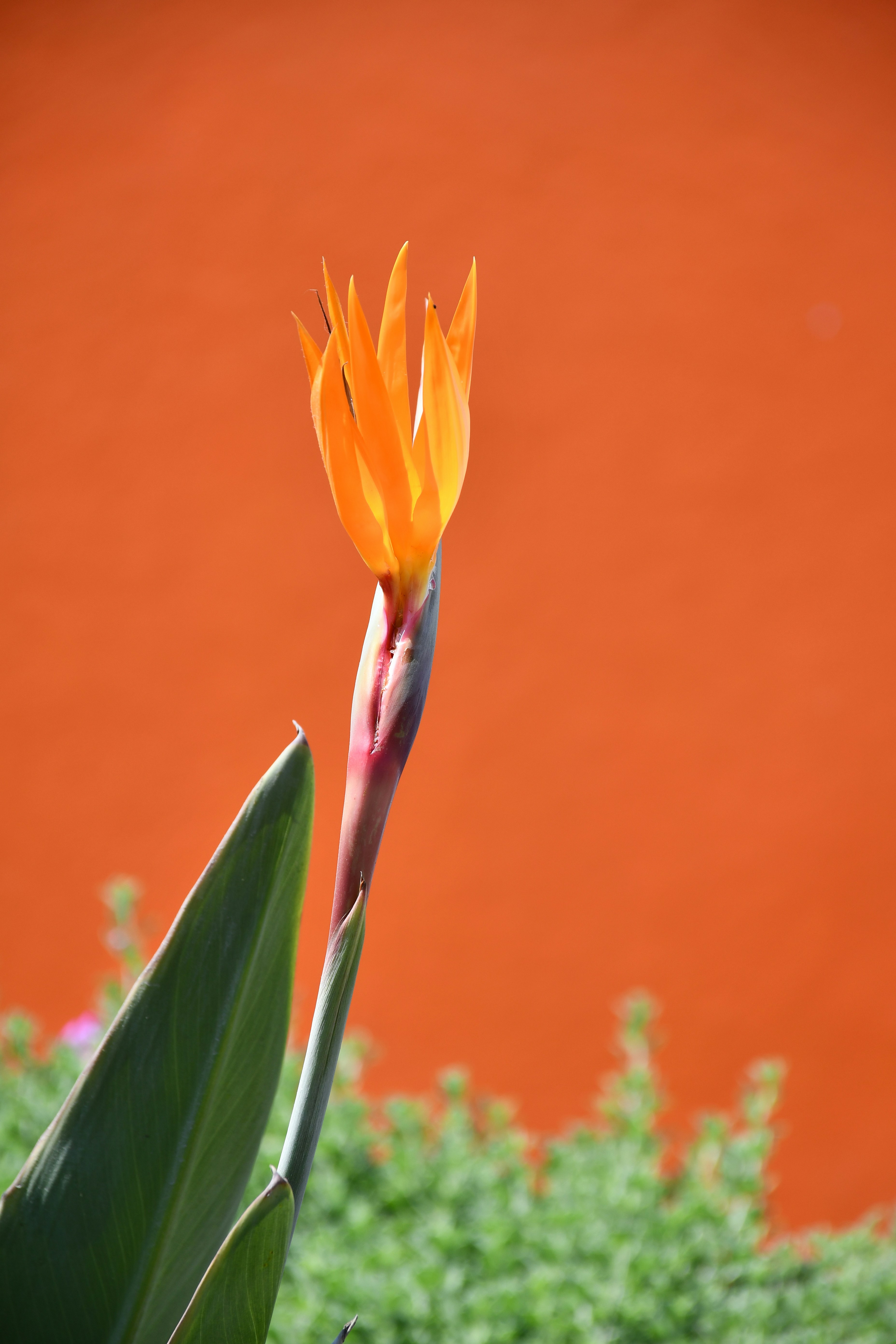 Photo by anna_kharkivska