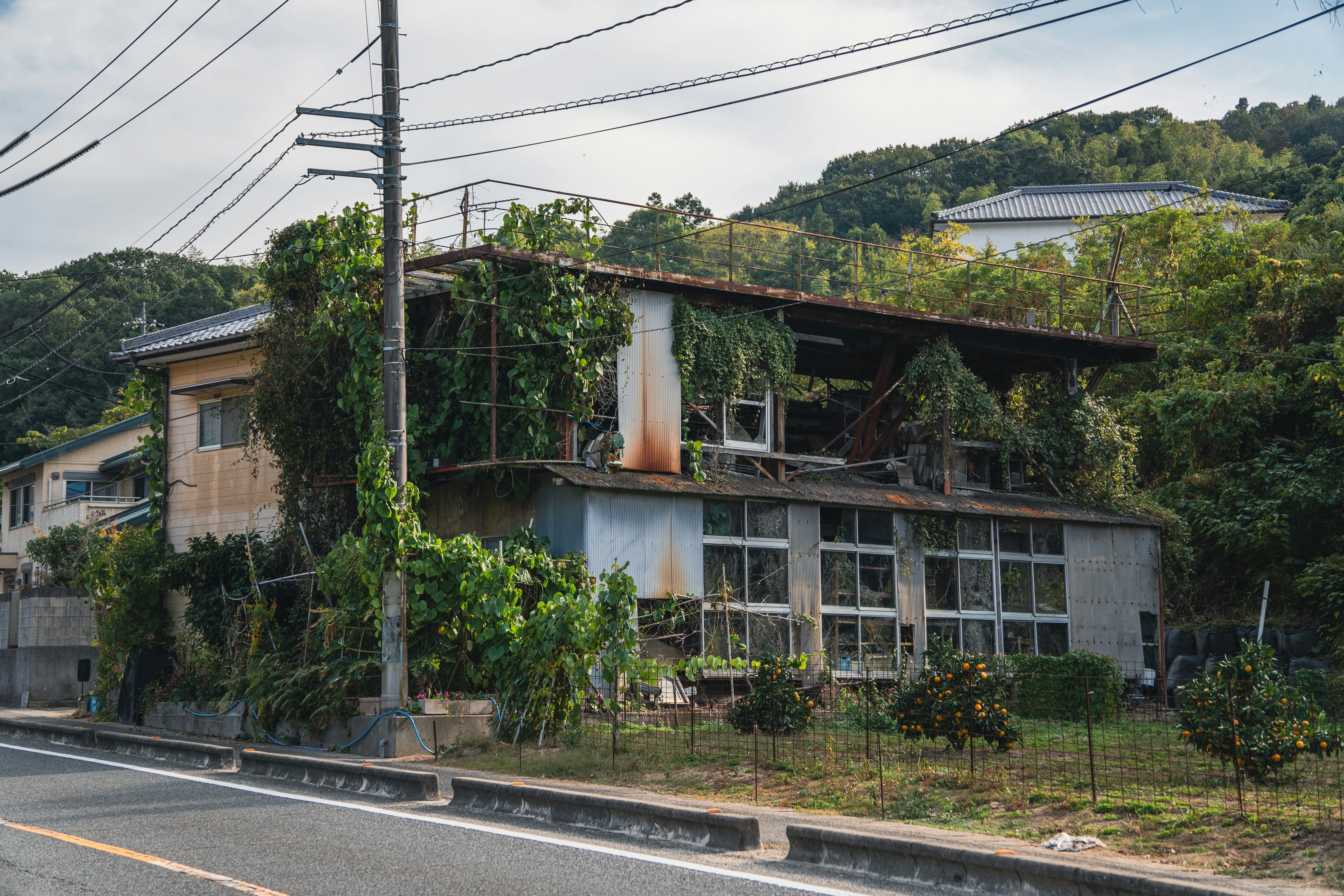 Abandoned building overgrown with lush green plants