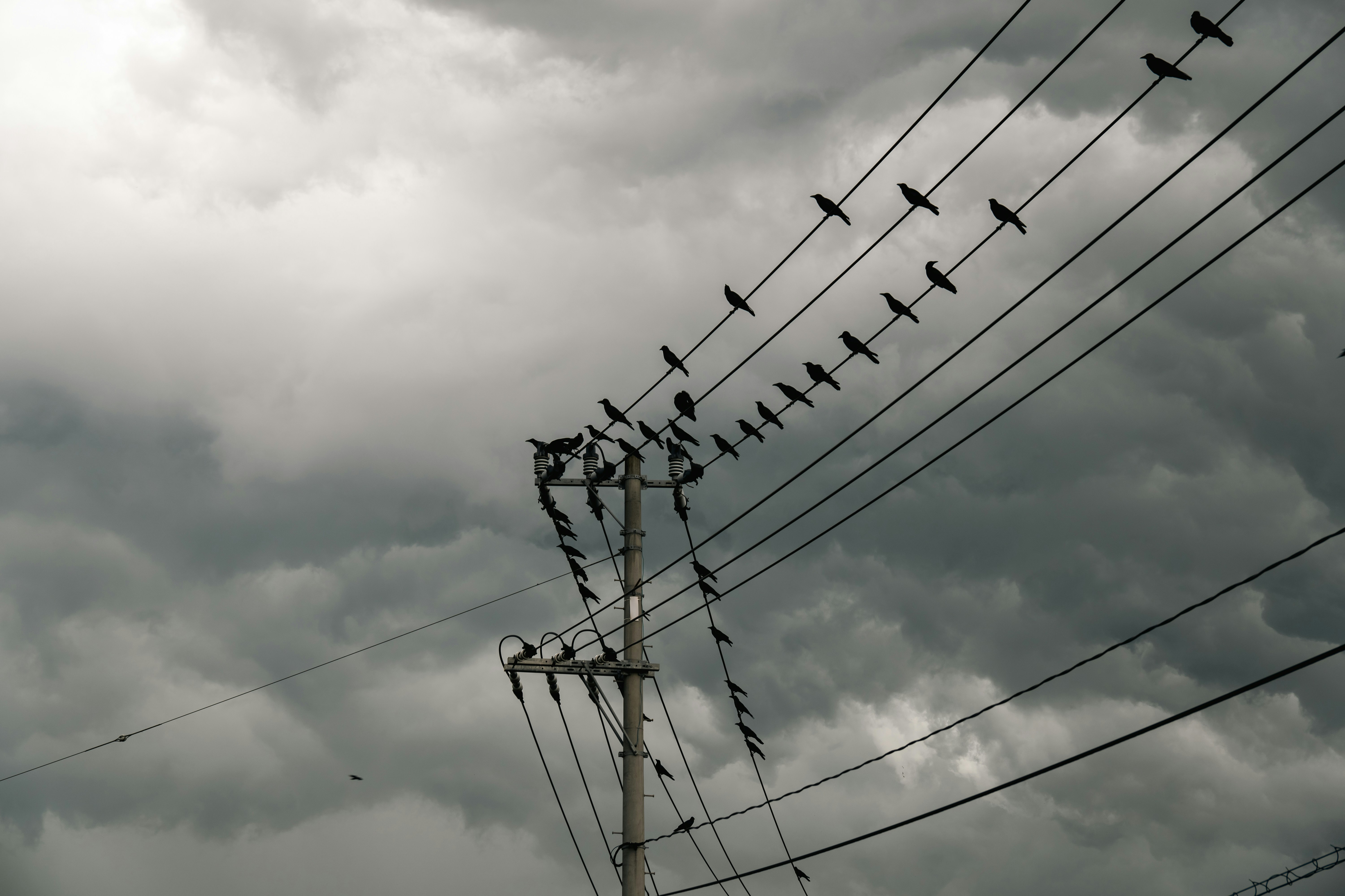 Photo by pancakeeater