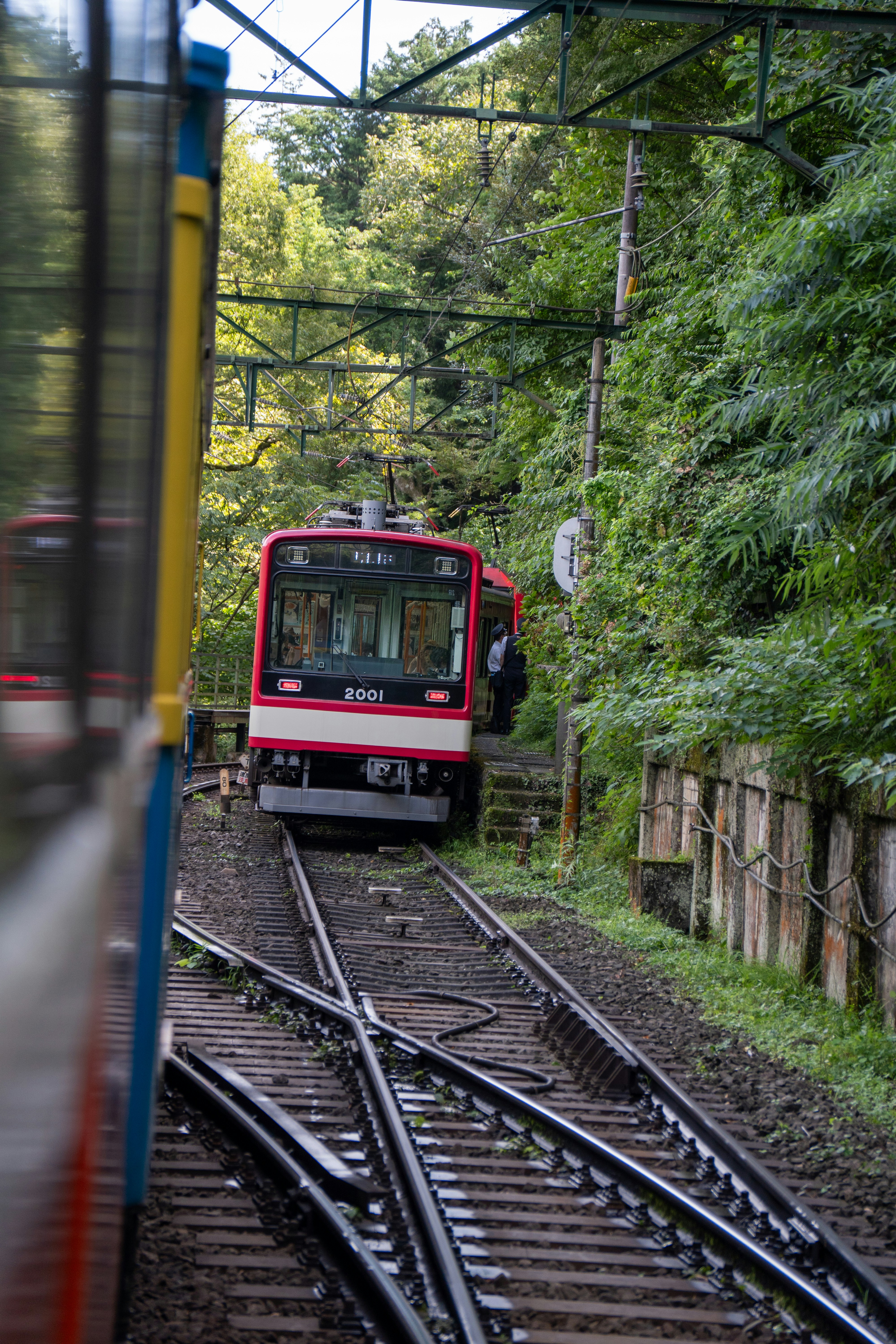 Photo by pancakeeater