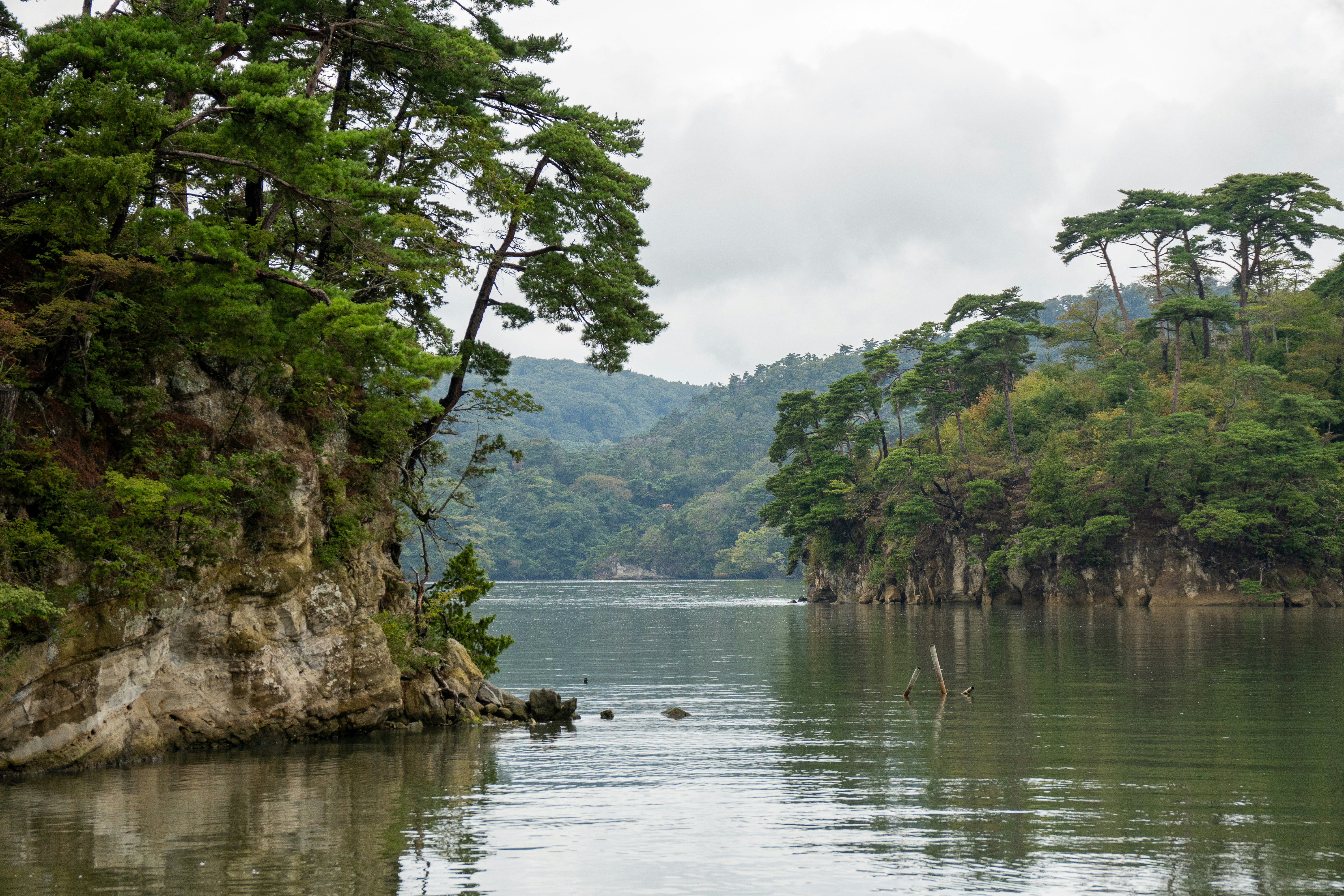 Photo by pancakeeater