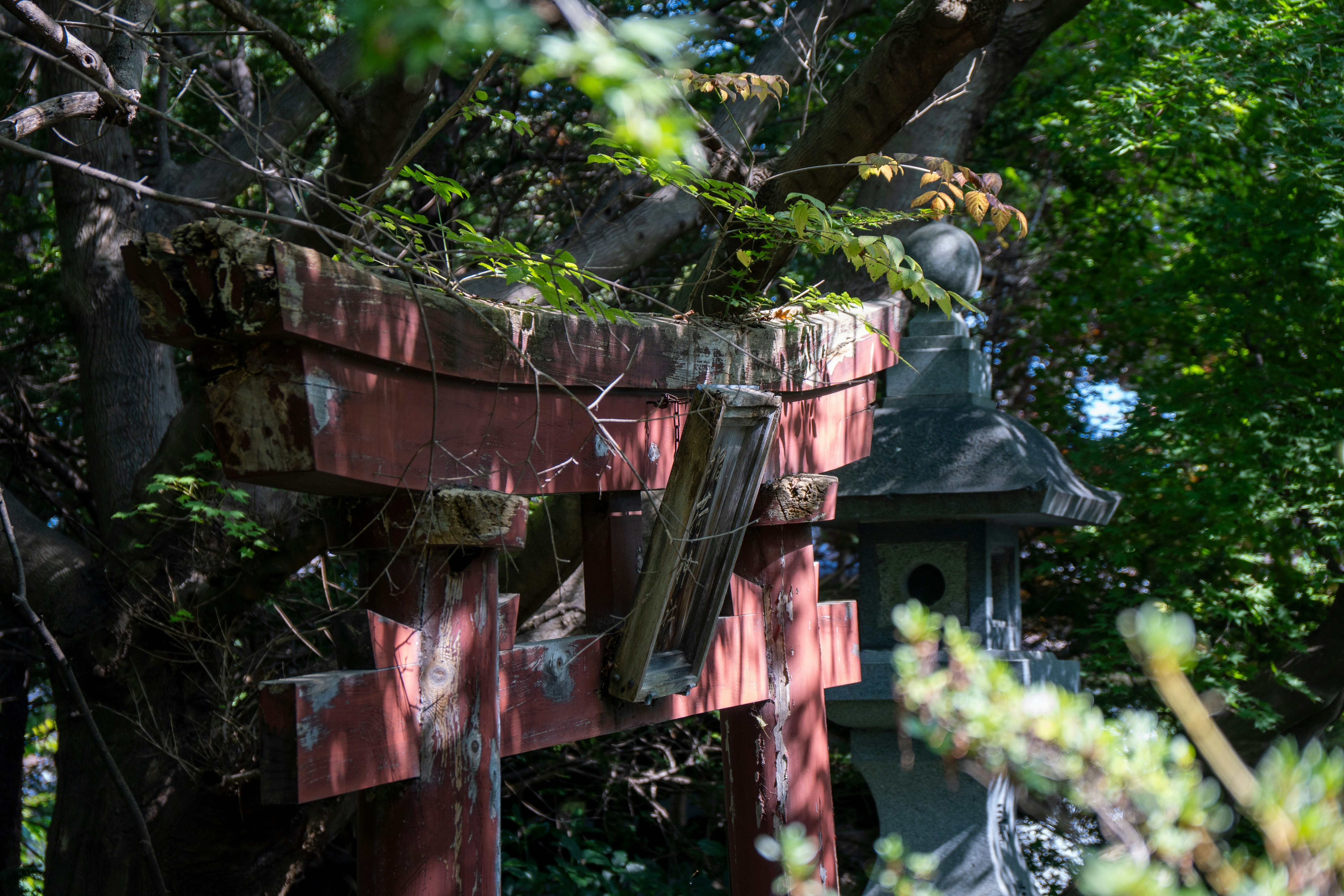 Photo by pancakeeater