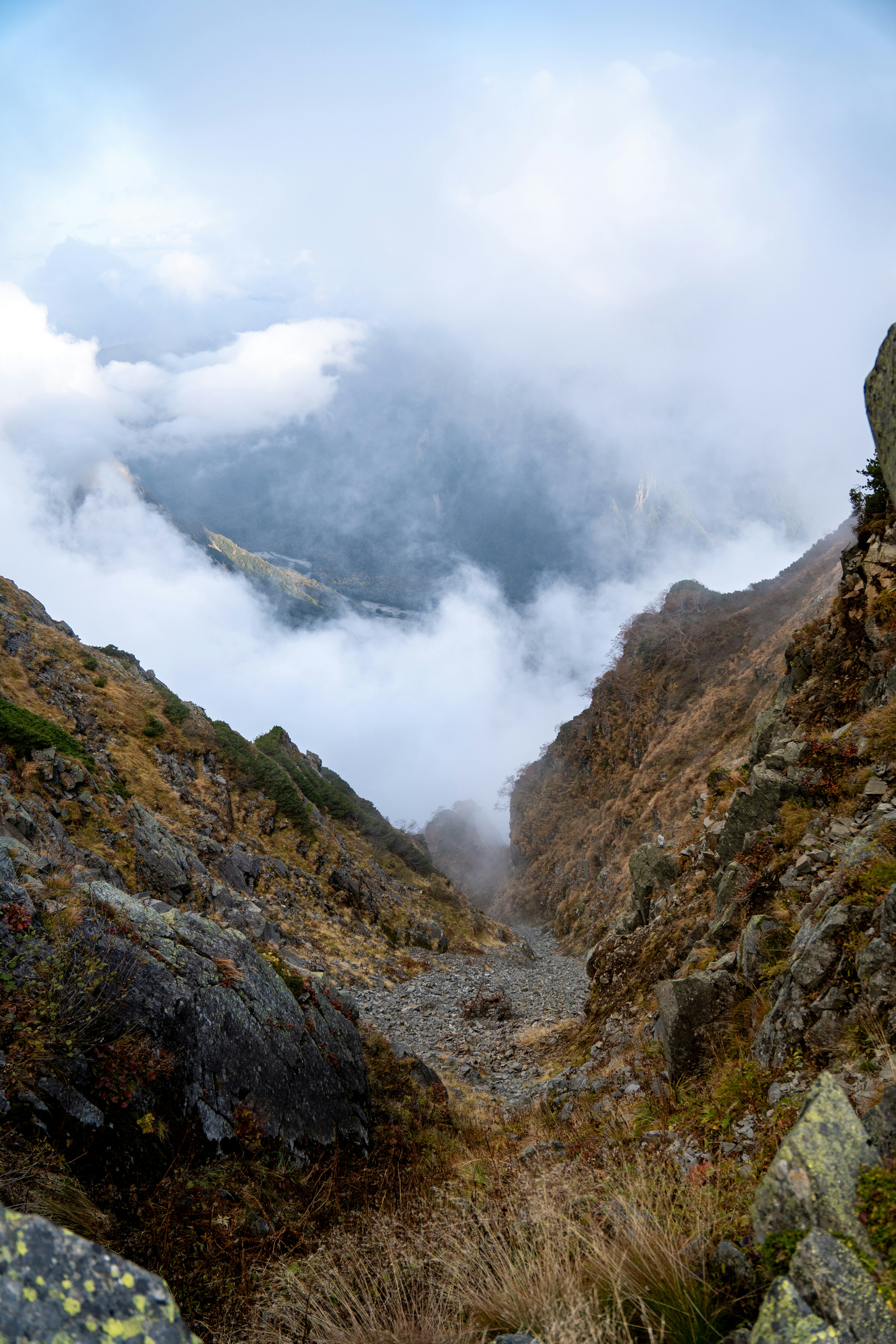 Photo by pancakeeater