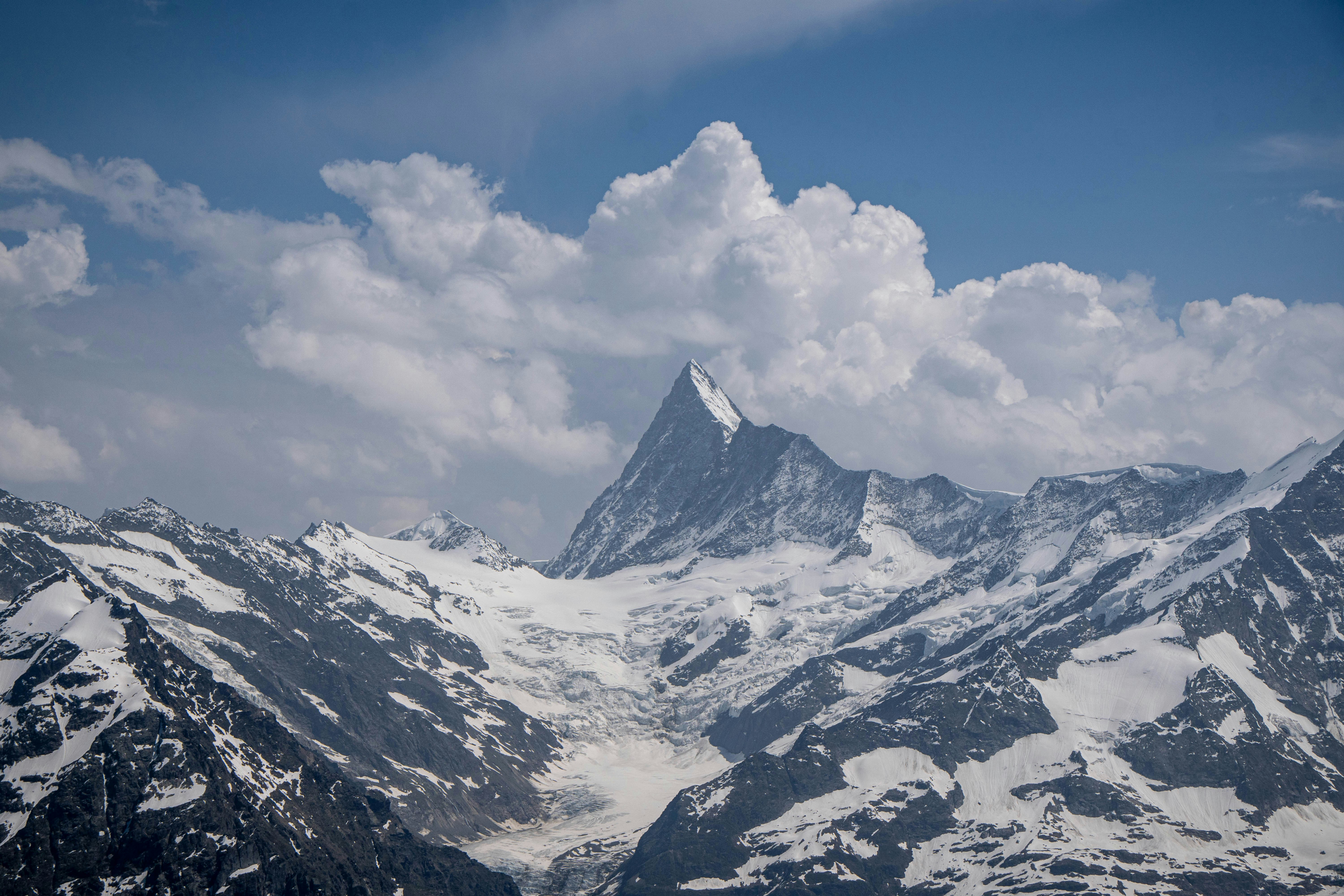 Photo by pancakeeater