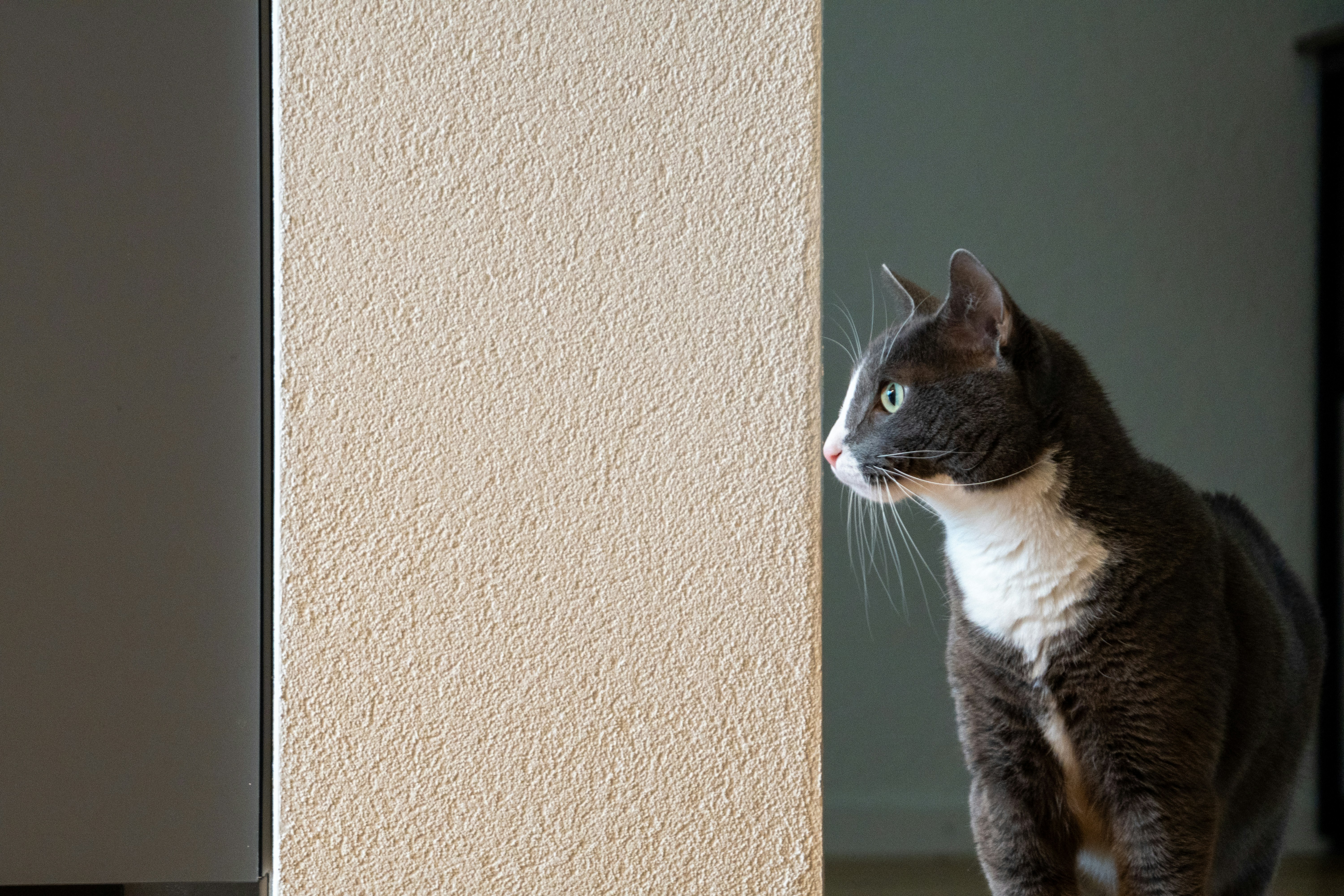 Photo by pancakeeater