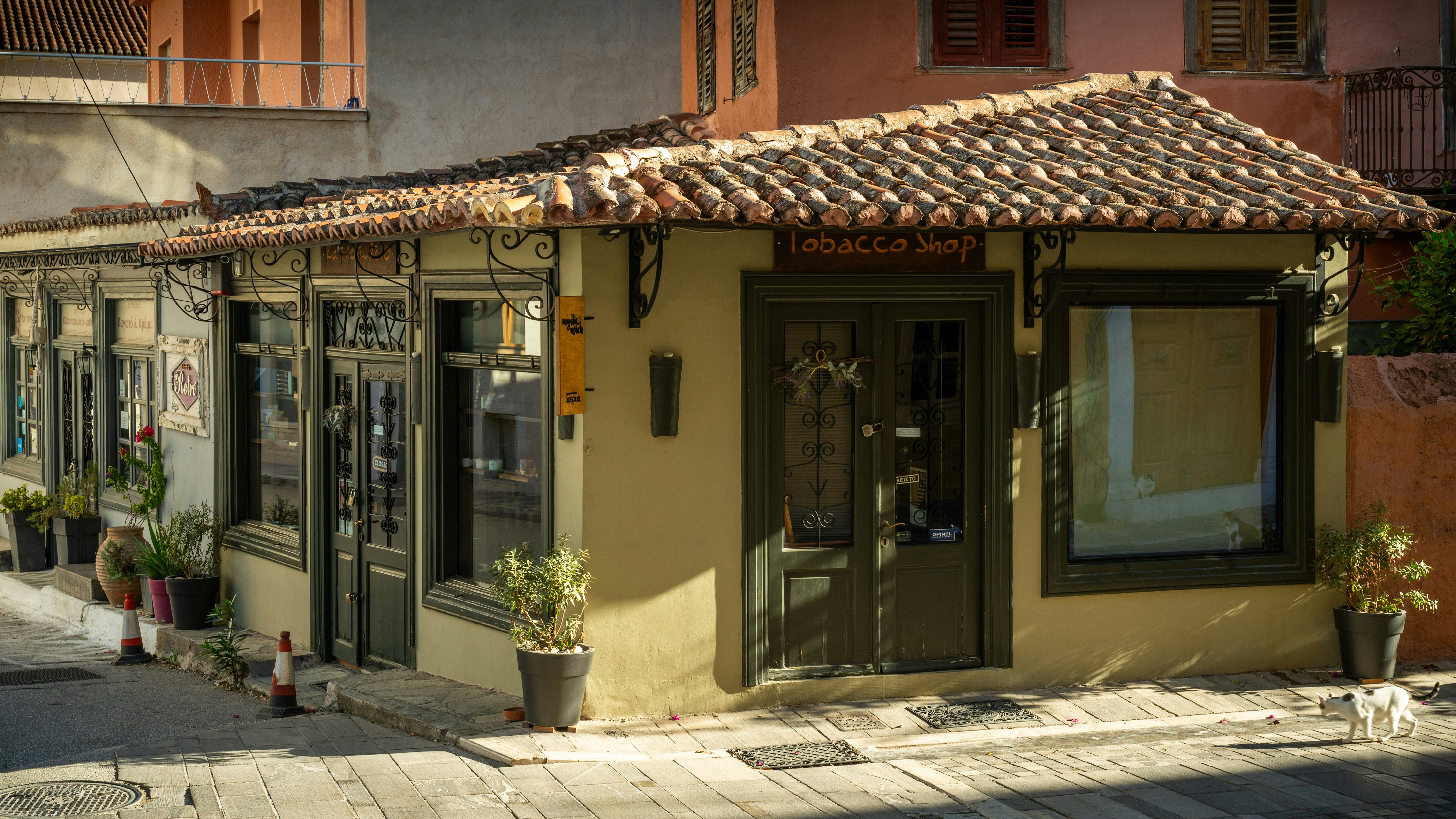 Photo by ruben_aster