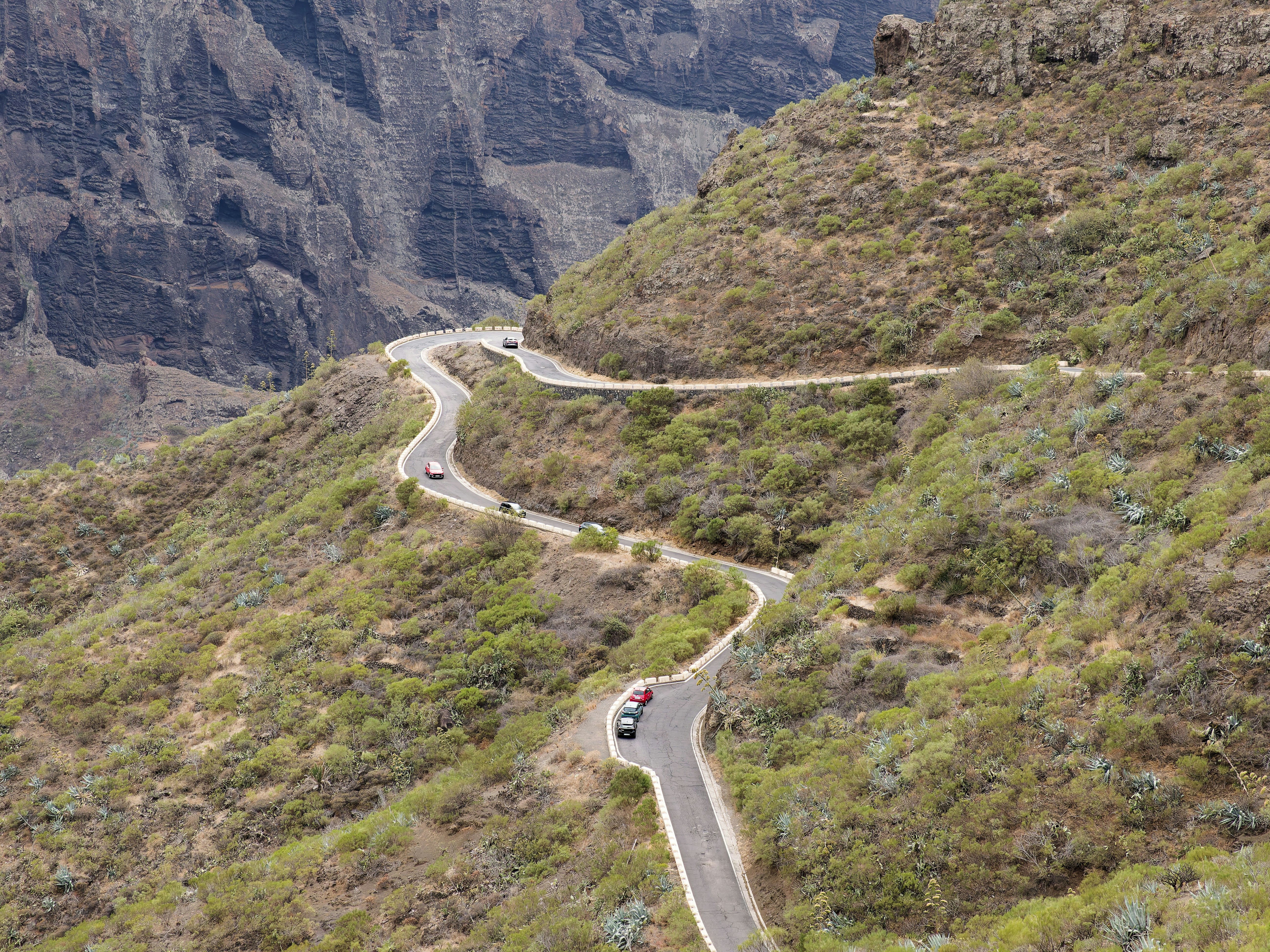 Photo by illes_cristi