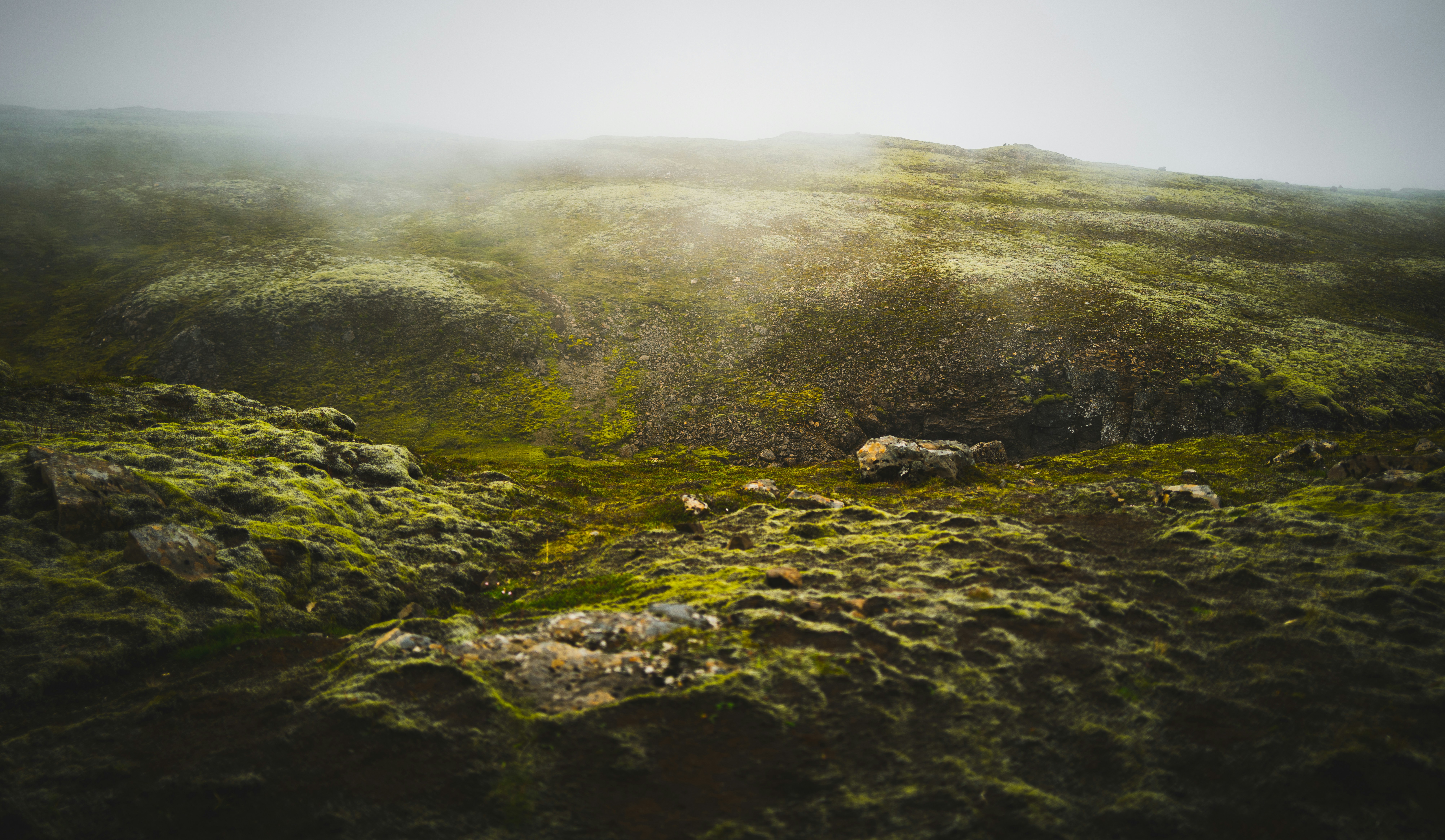 Photo by korner_kosmos