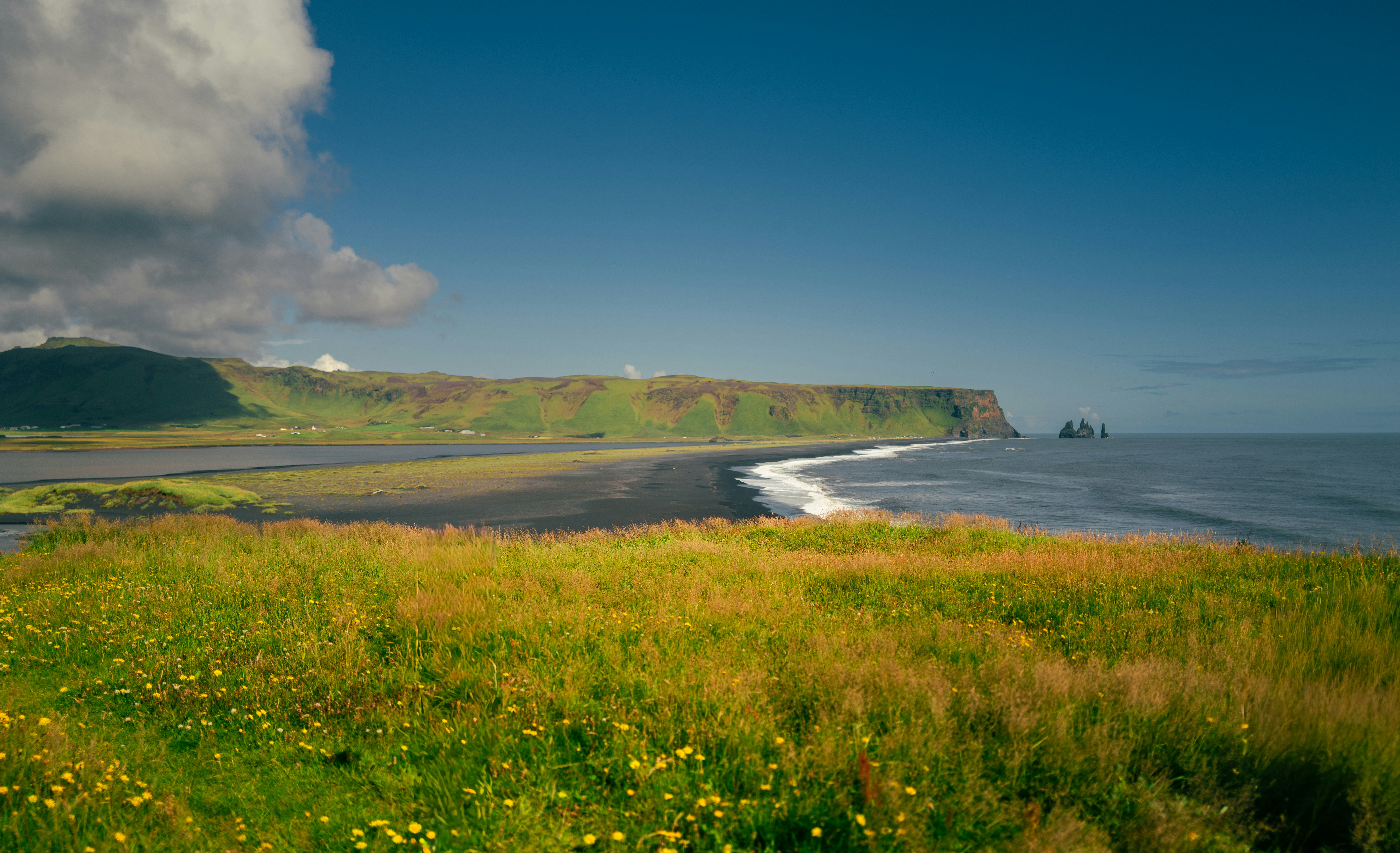 Grassy field overlooking a black sand beach and ocean.