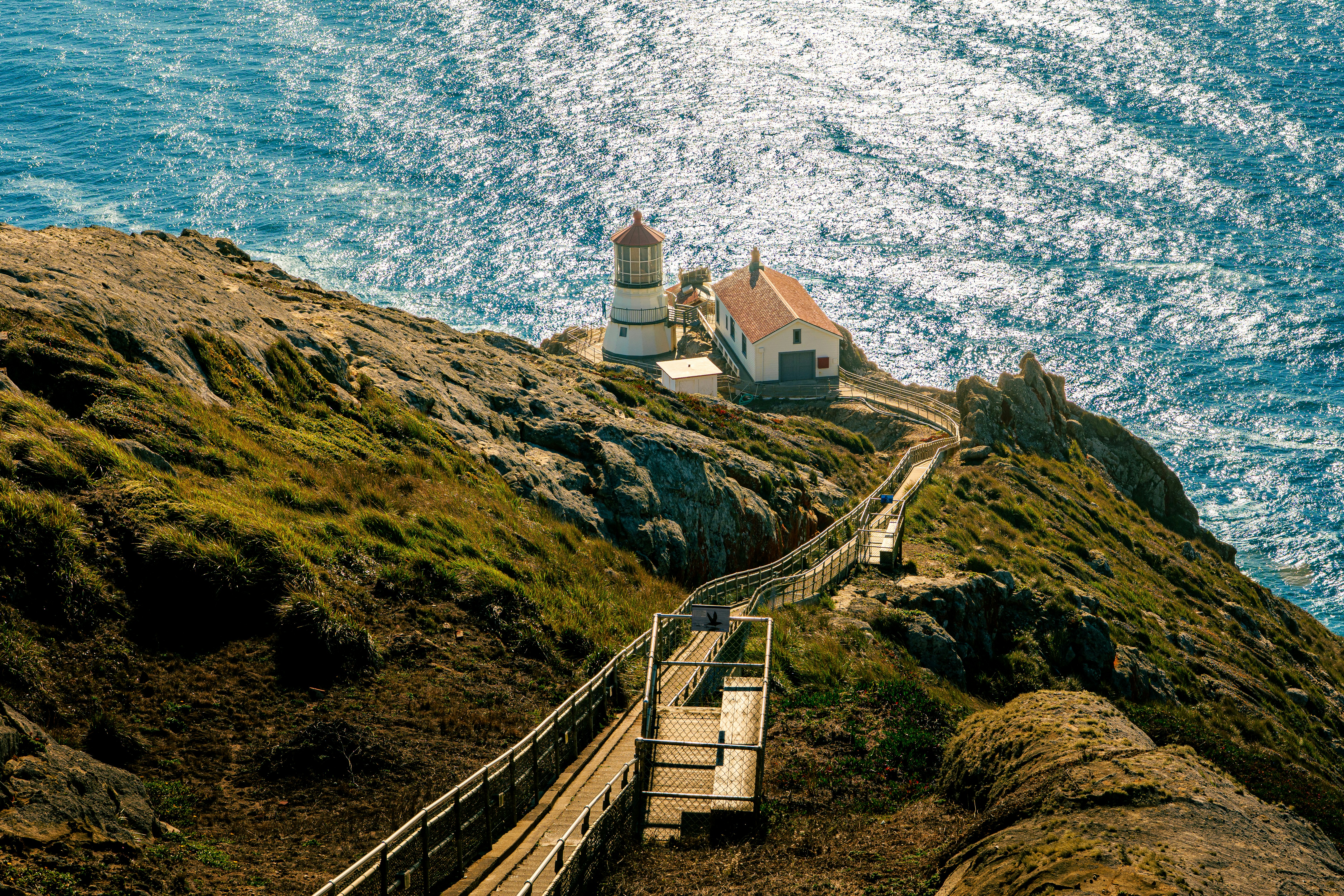 Photo by sachin_sandhu