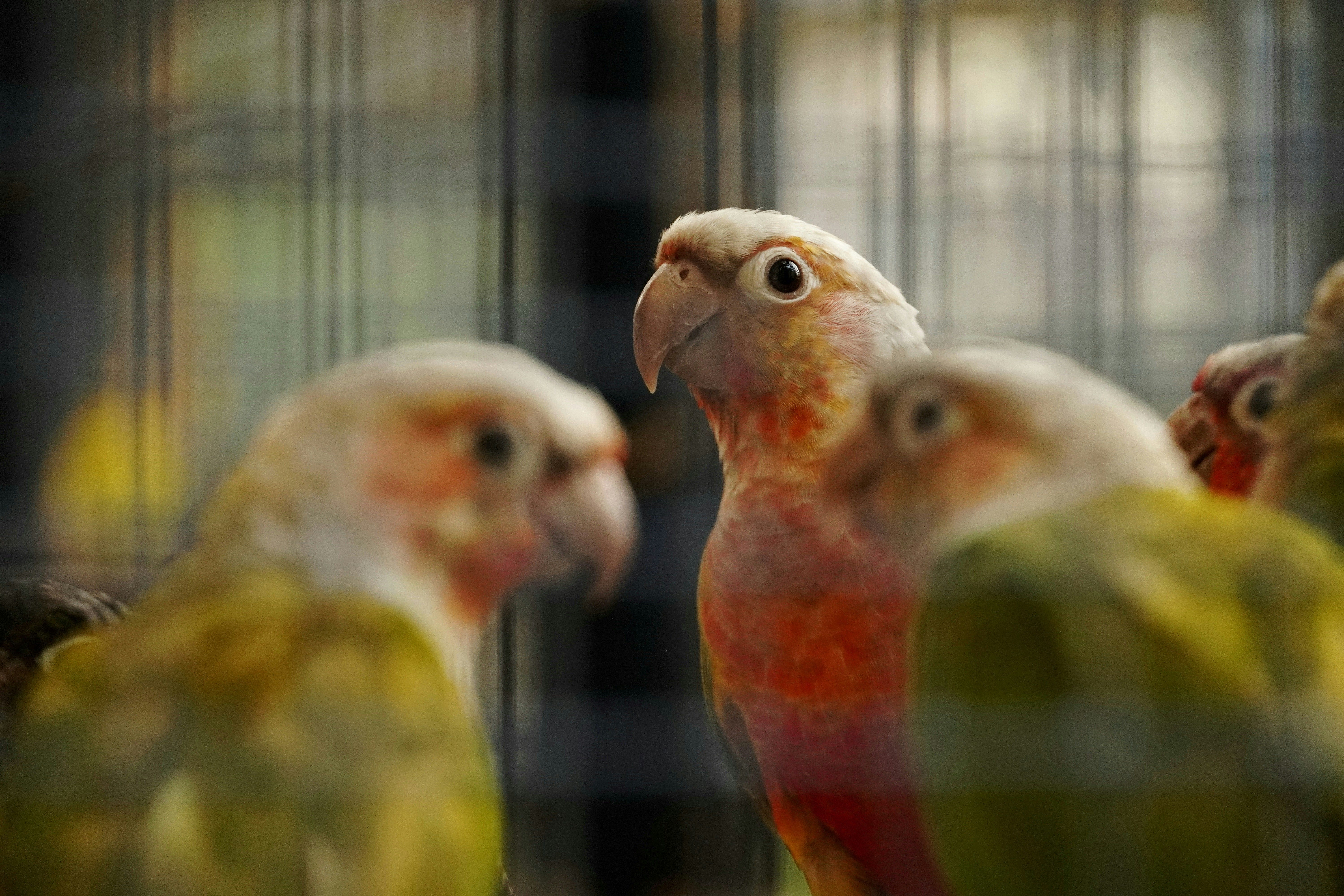 Photo by jatinsinger_2003