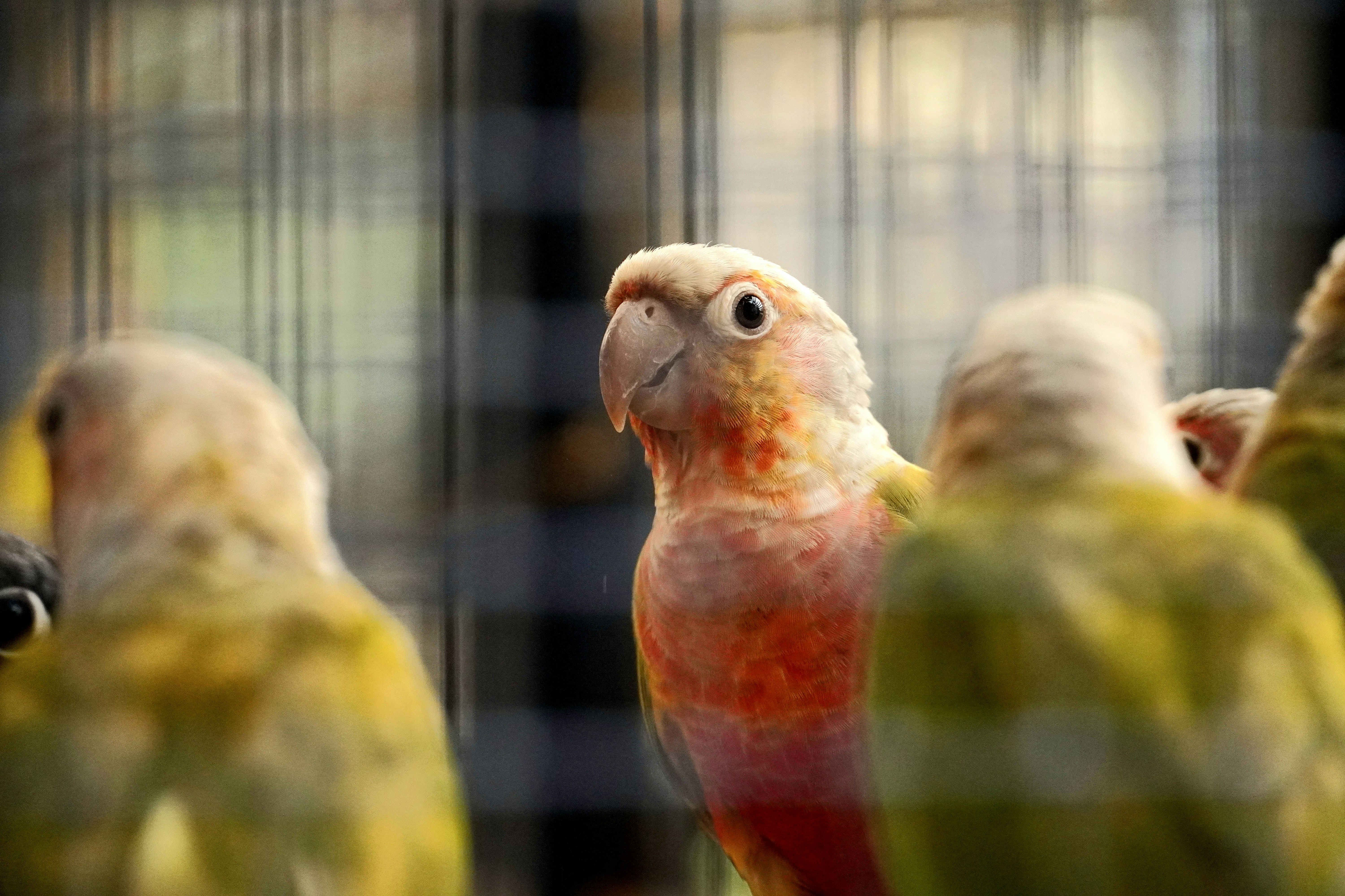 Photo by jatinsinger_2003