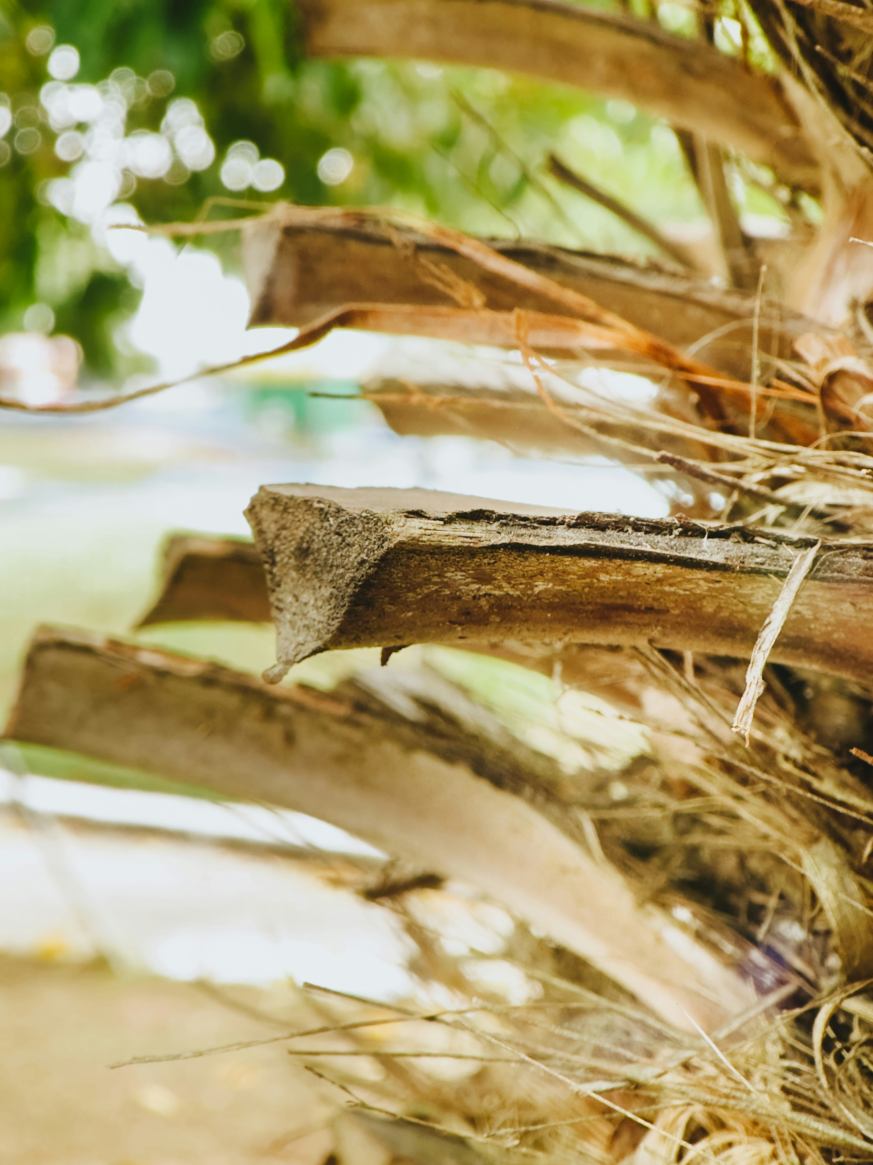 Photo by janilson_oficial