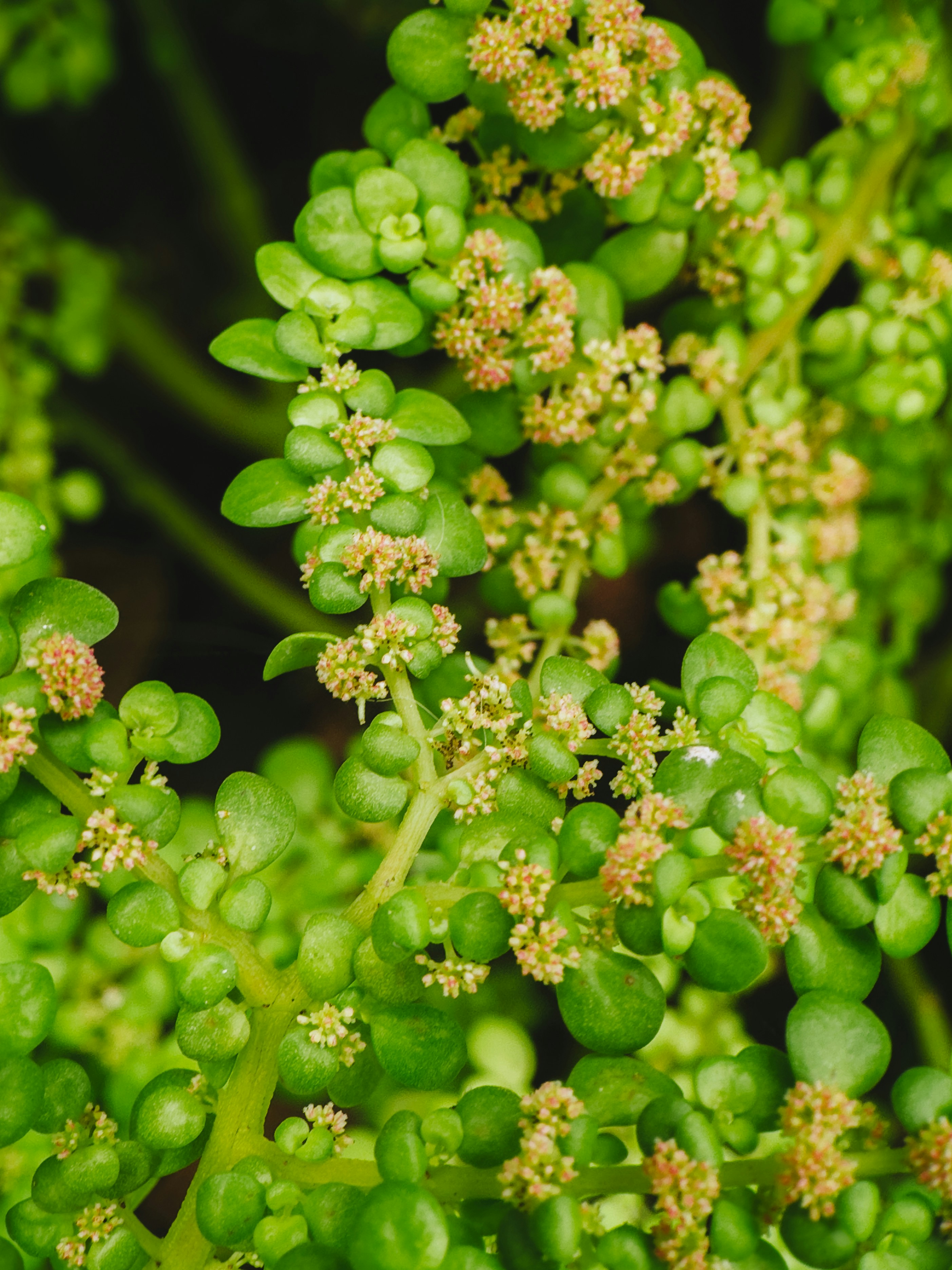 Photo by janilson_oficial