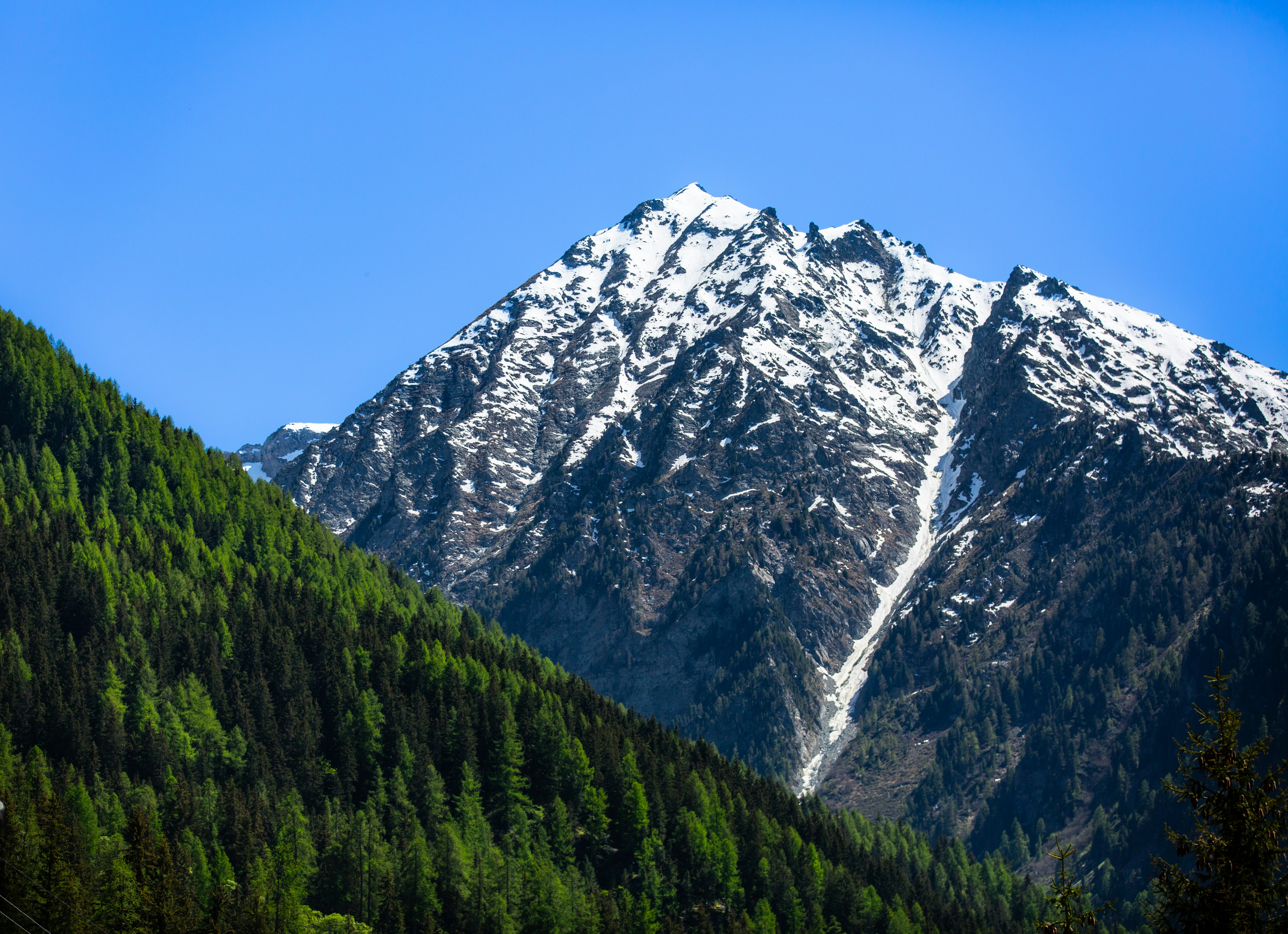 Photo by pecavaleriph