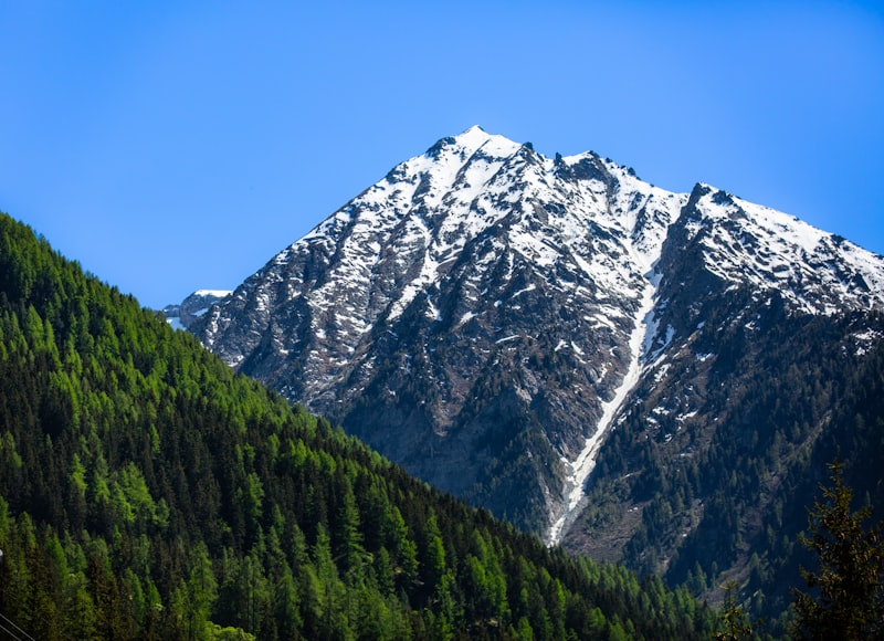 Alpine Silence
