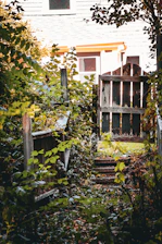 Overgrown garden path leads to a weathered wooden gate.