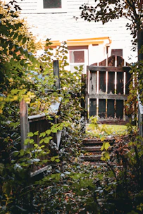 Overgrown garden path leads to a weathered wooden gate.