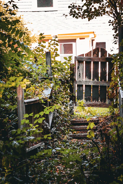 Overgrown garden path leads to a weathered wooden gate.