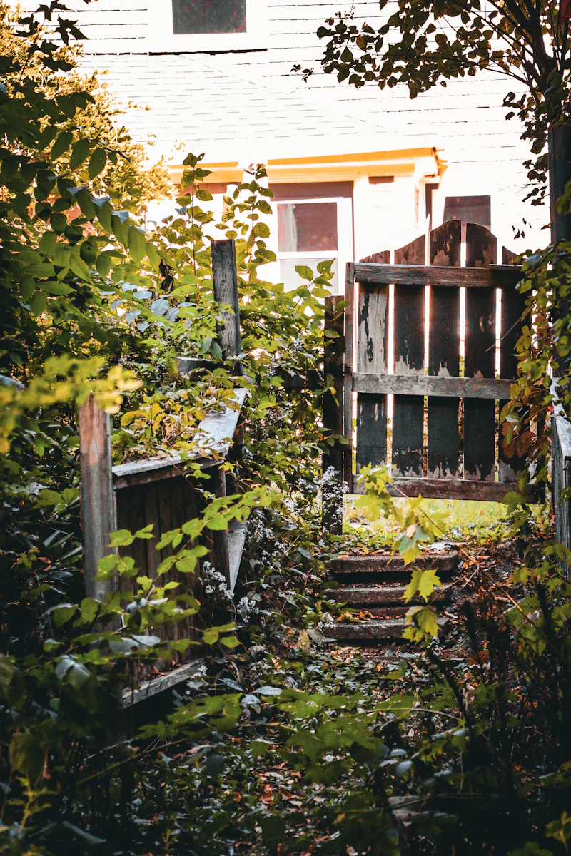 Terrasse bois exotique avec pergola — avant
