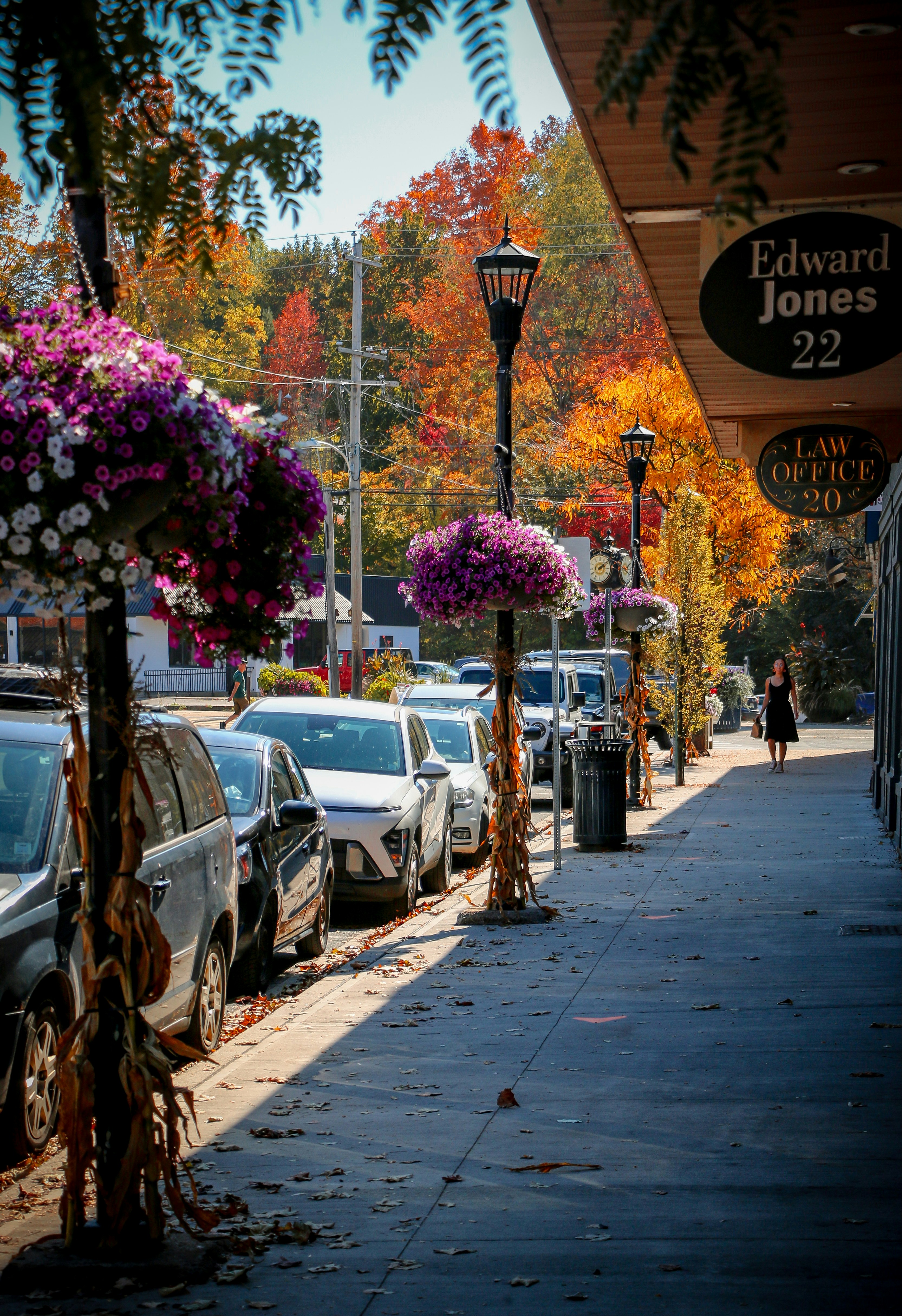 Autumn street scene with colorful trees and flowers.