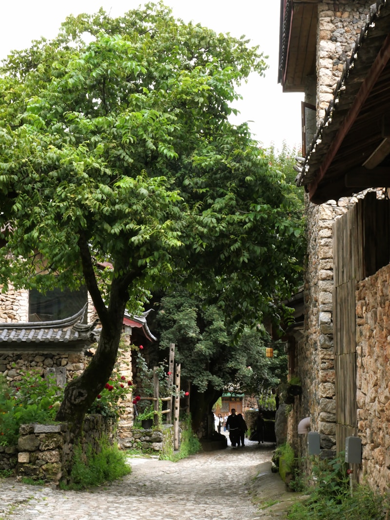 Anren Ancient Town