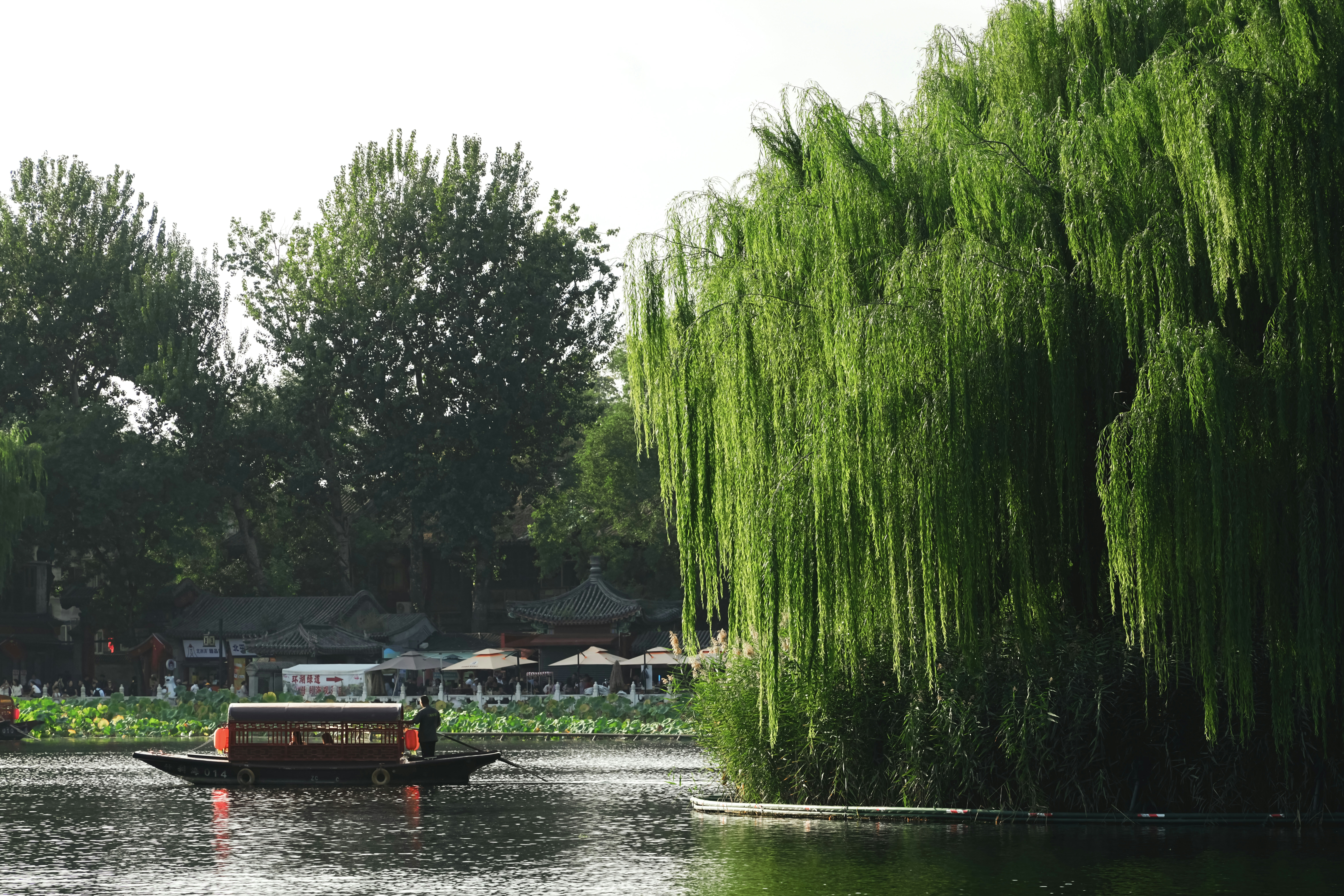 Photo by hattrick1996