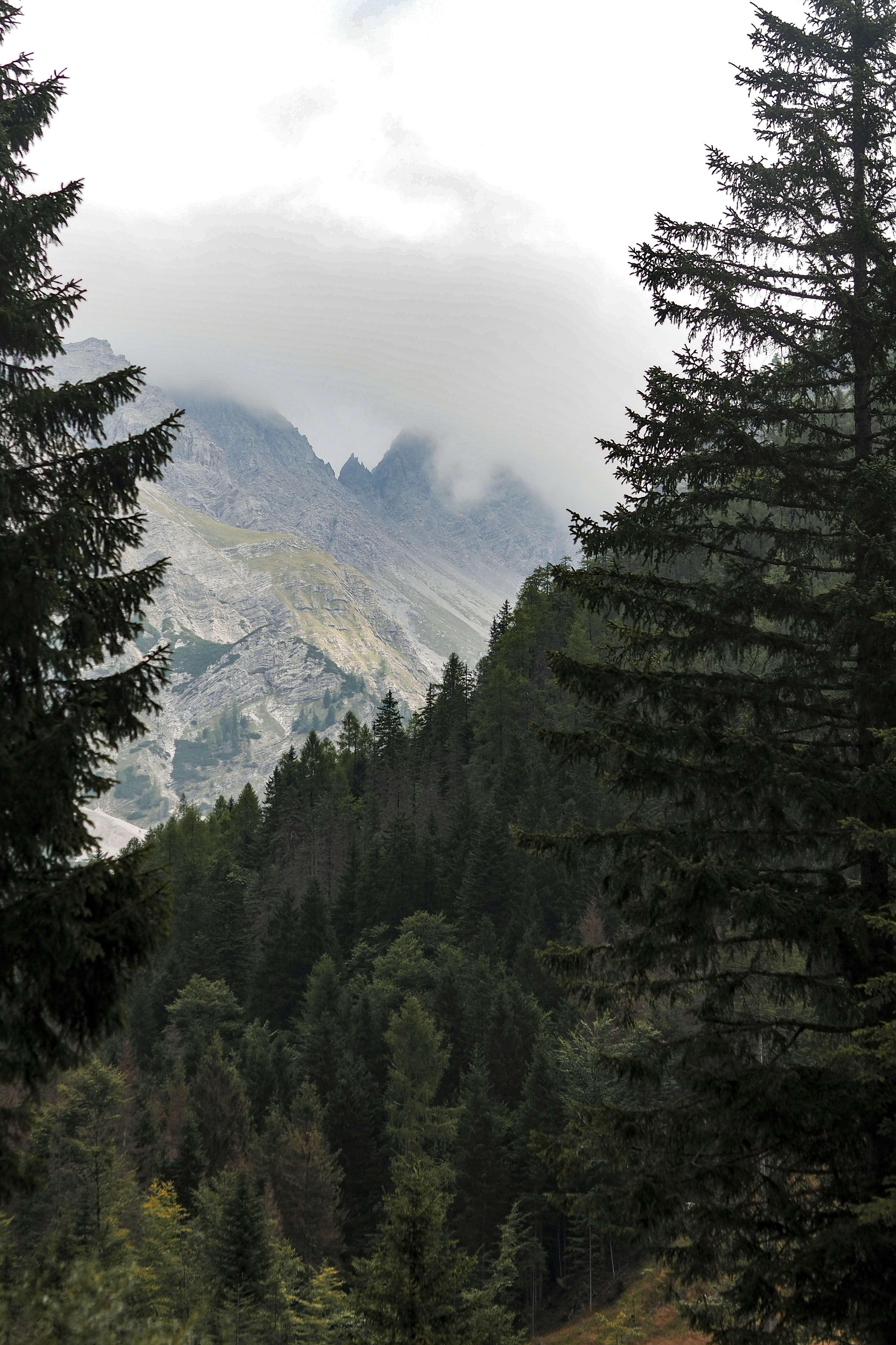 Photo by laurachouette