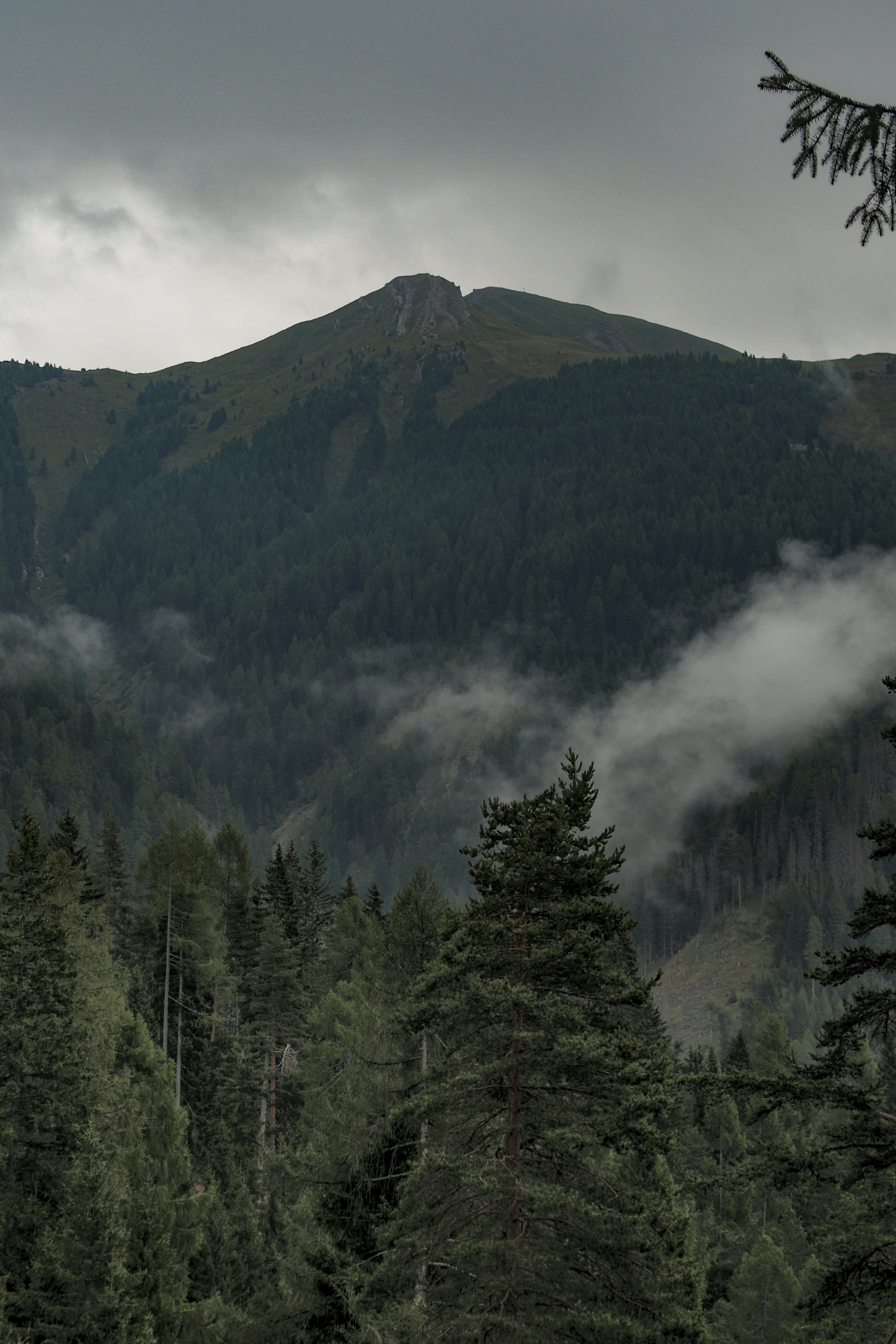 Photo by laurachouette