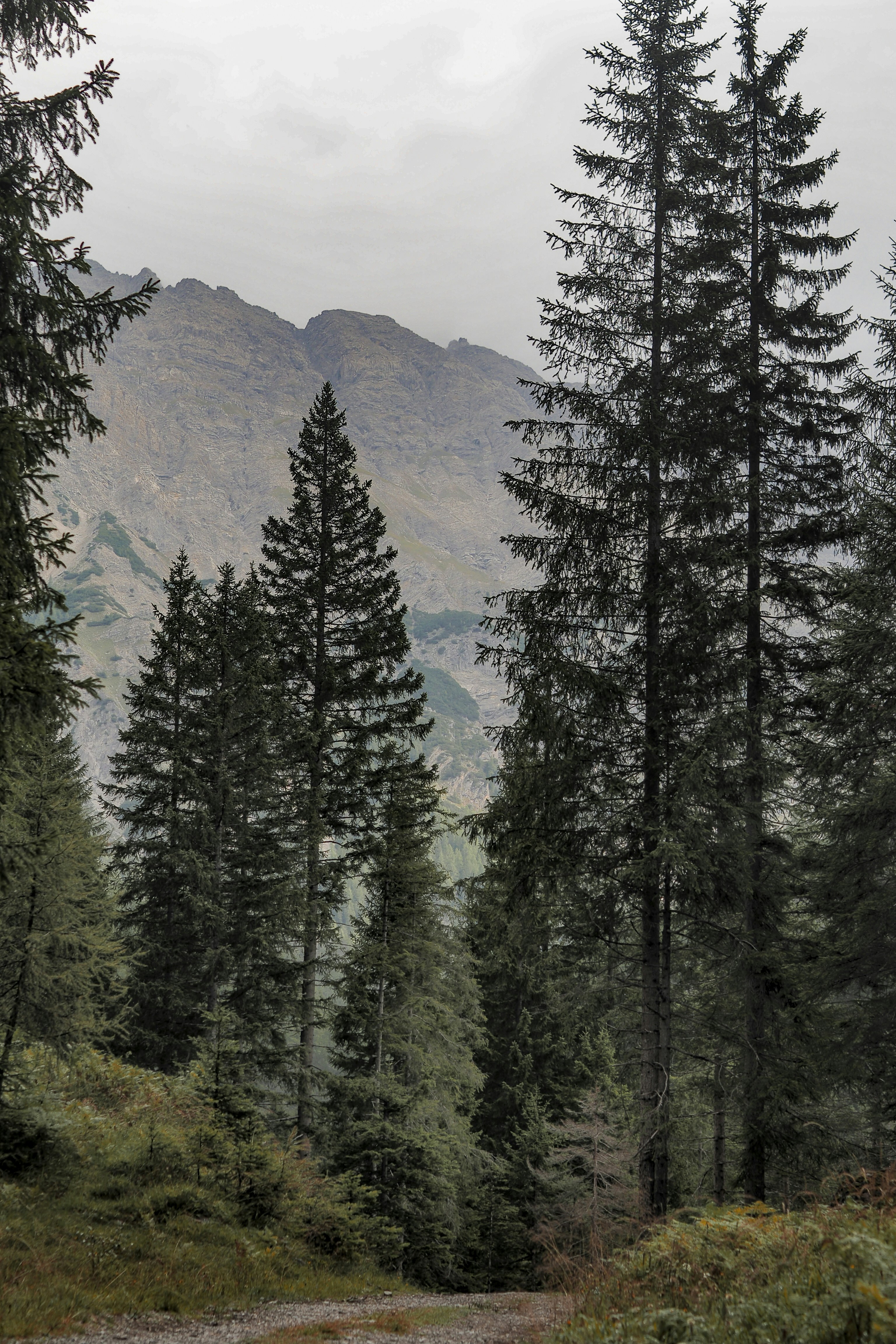 Photo by laurachouette