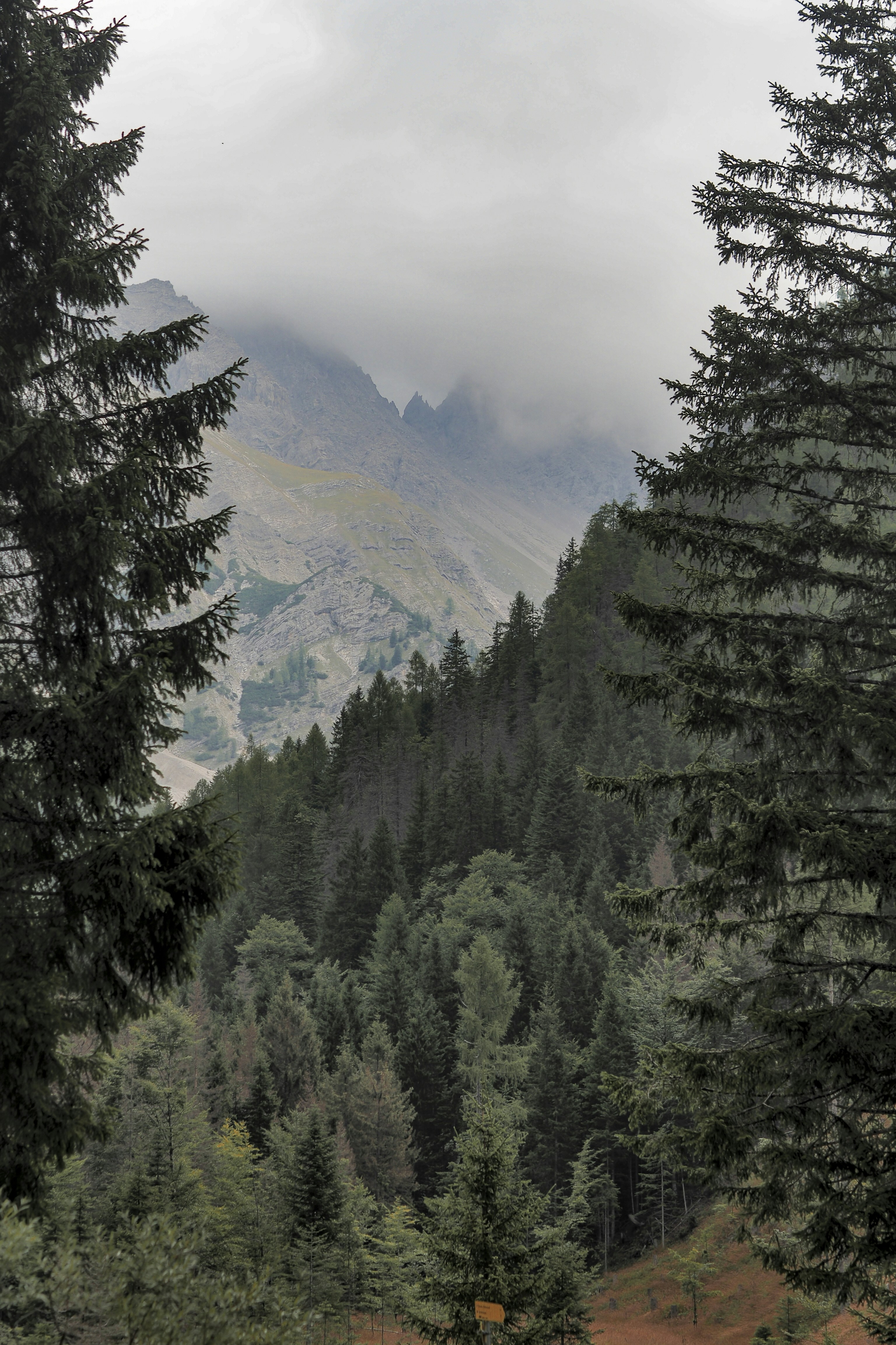 Photo by laurachouette