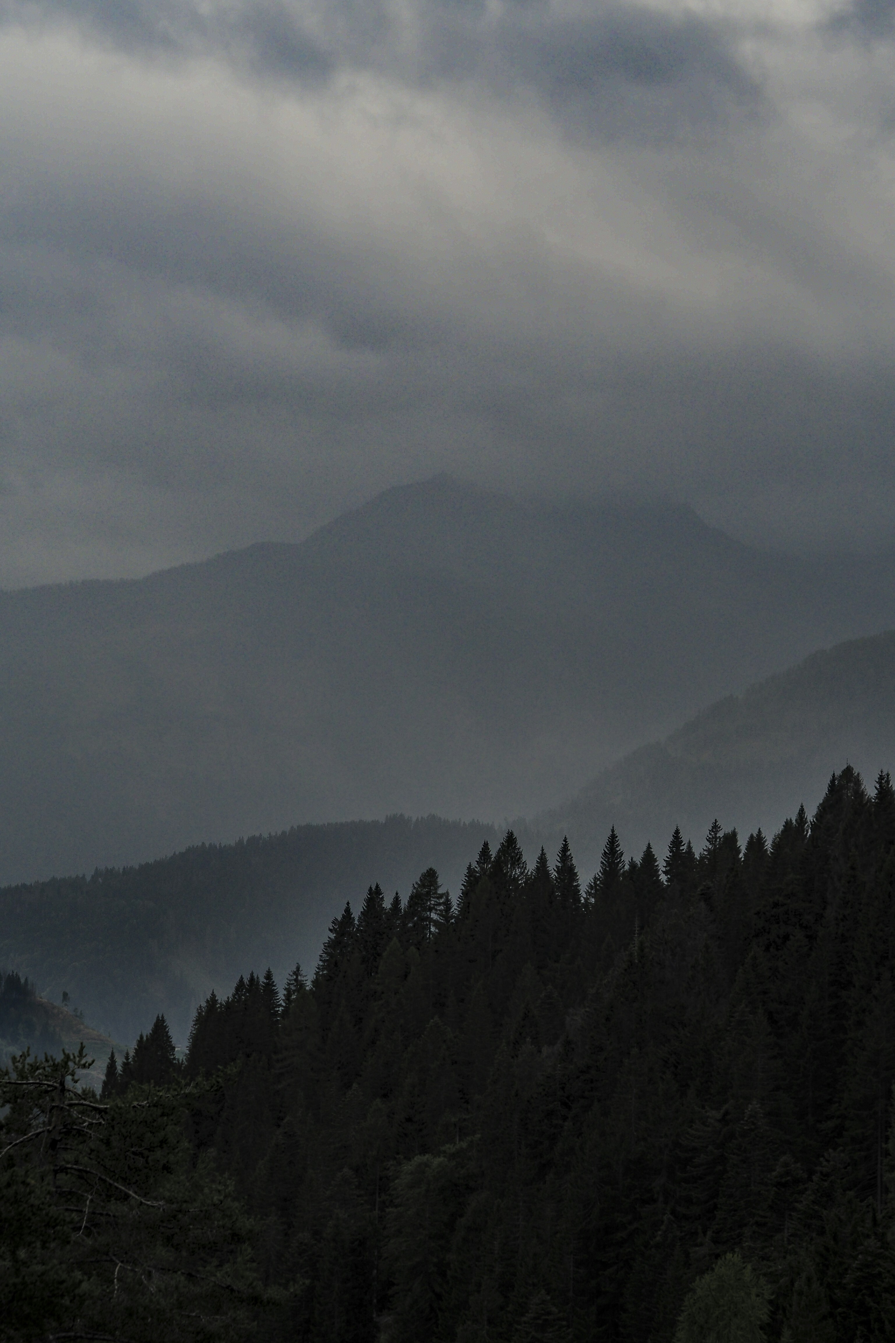 Photo by laurachouette