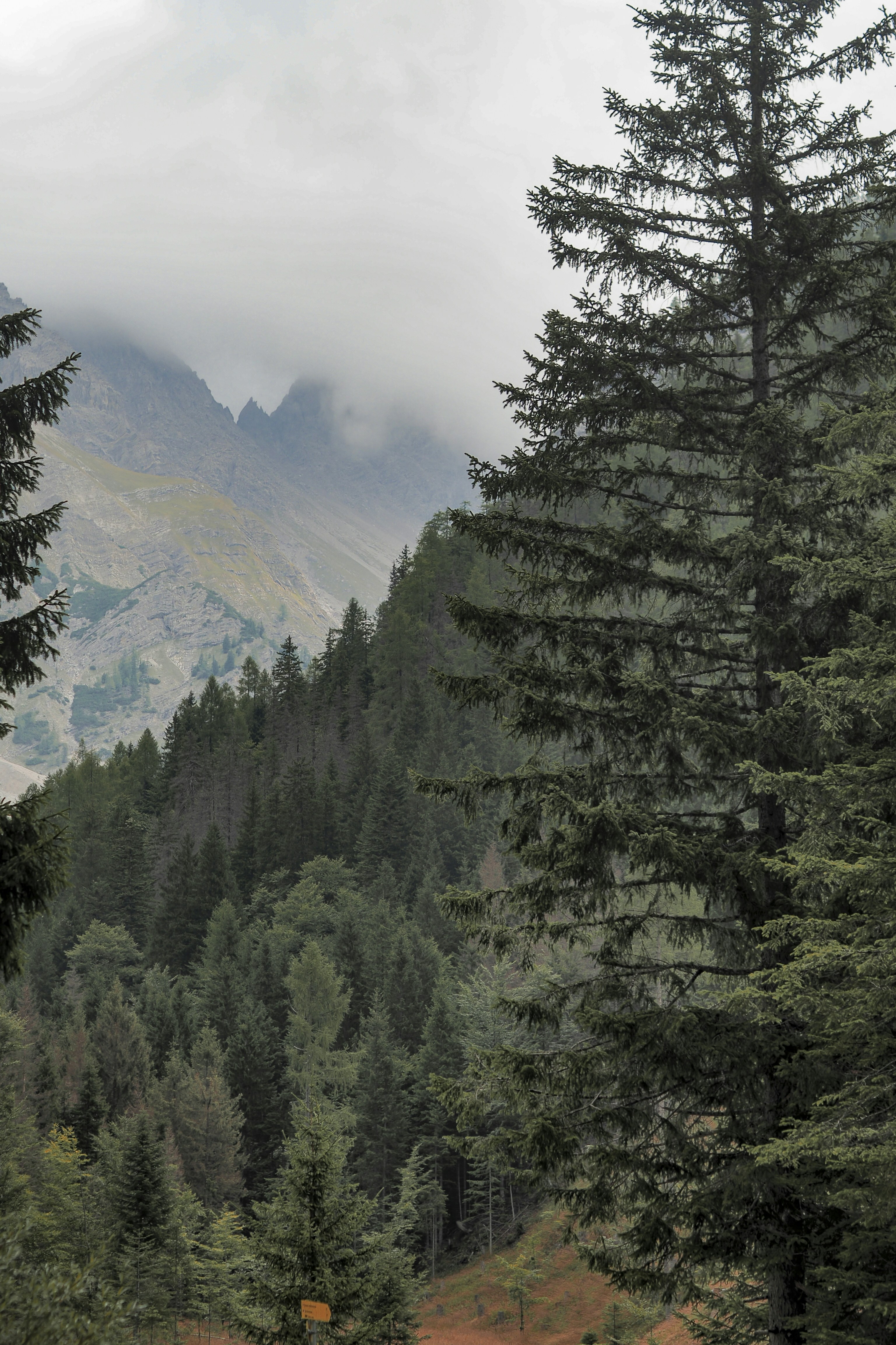 Photo by laurachouette