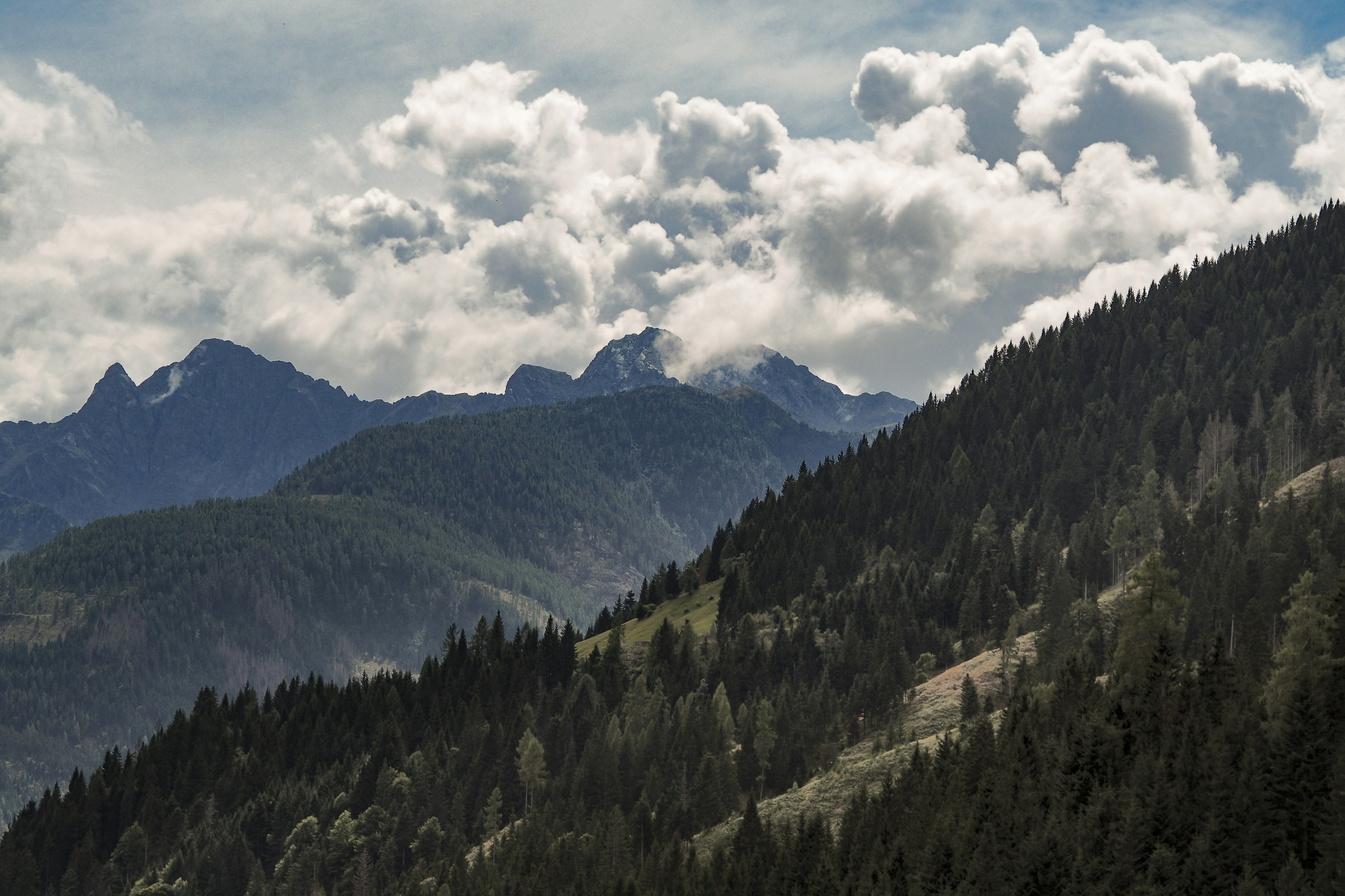 Photo by laurachouette