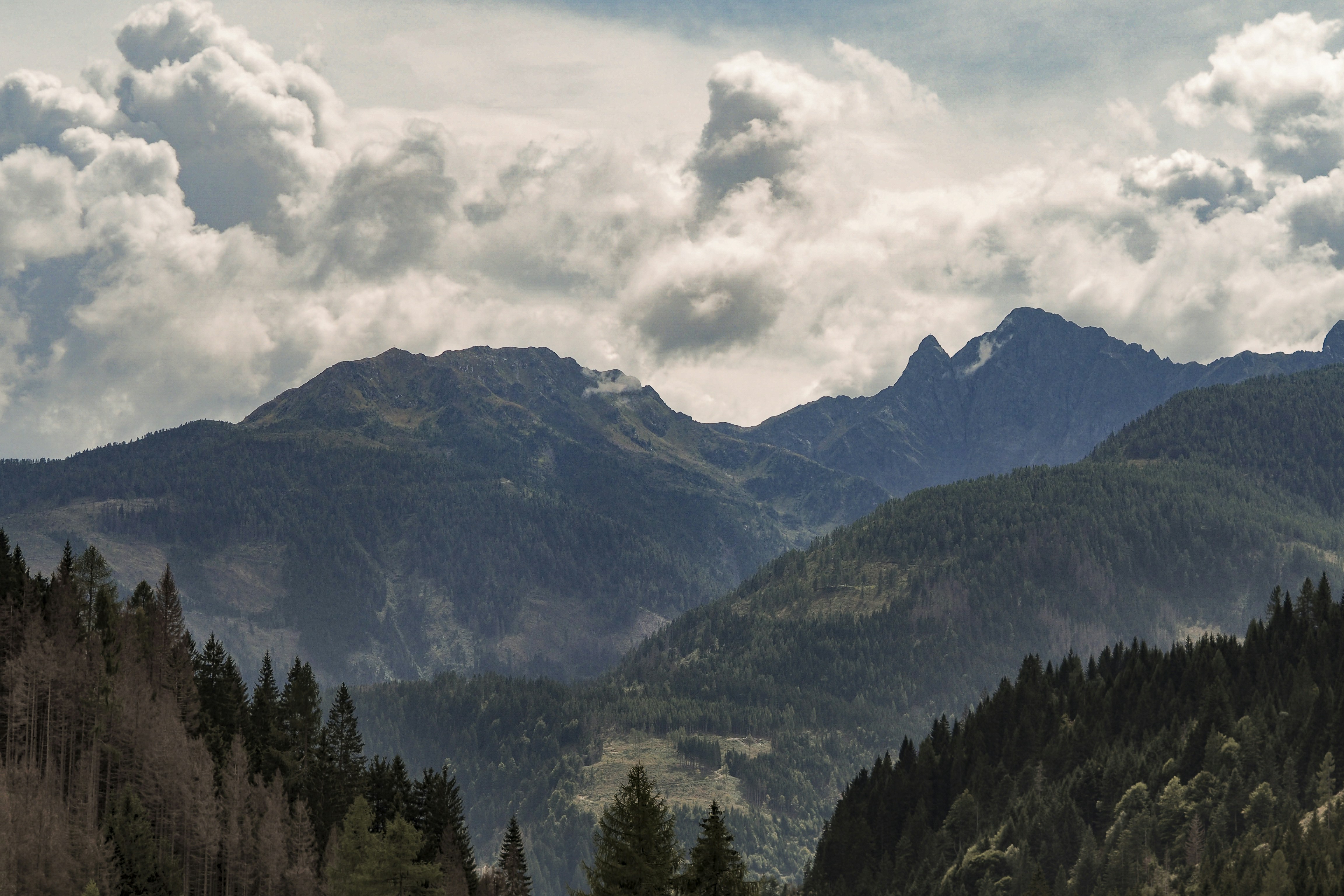 Photo by laurachouette