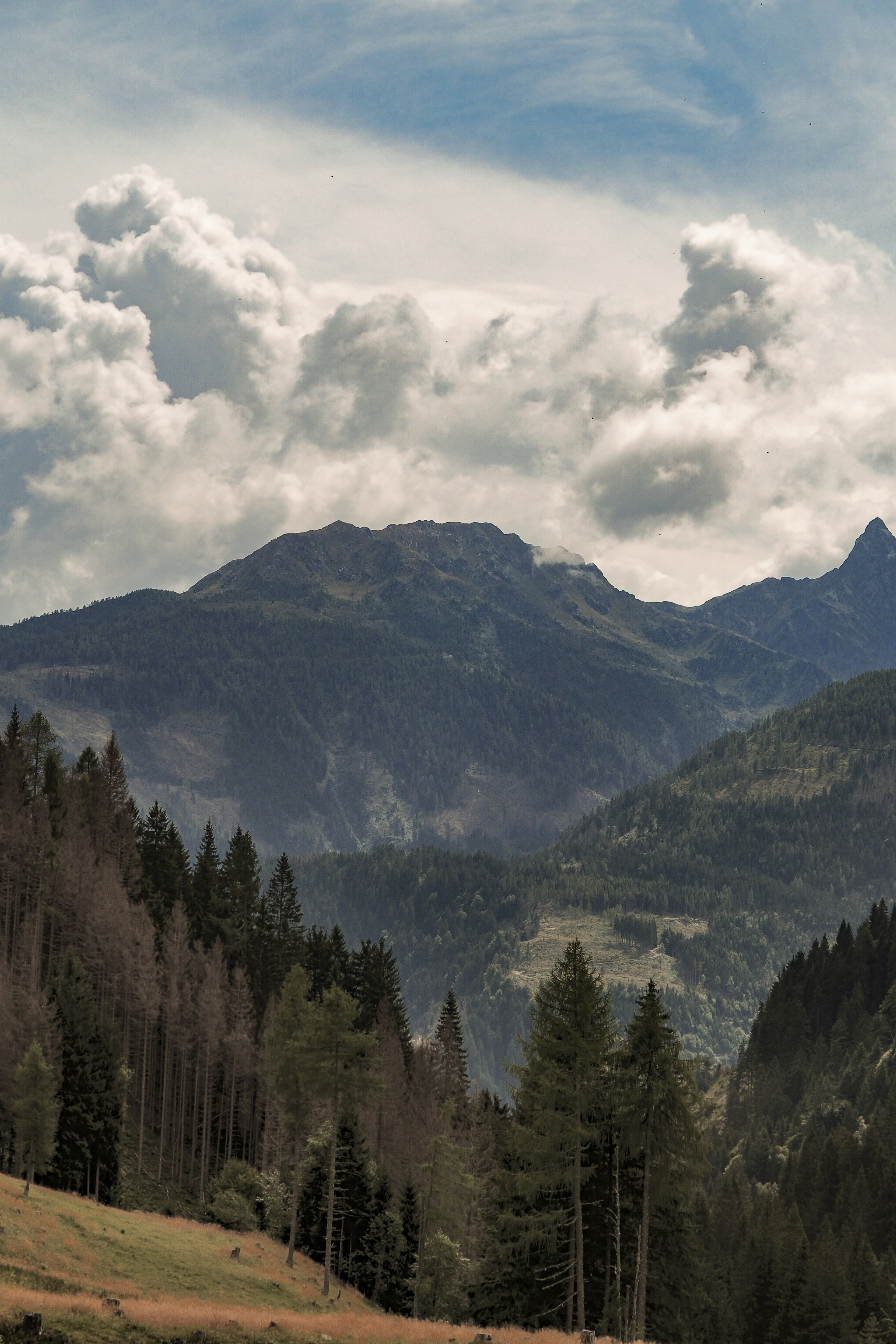 Photo by laurachouette